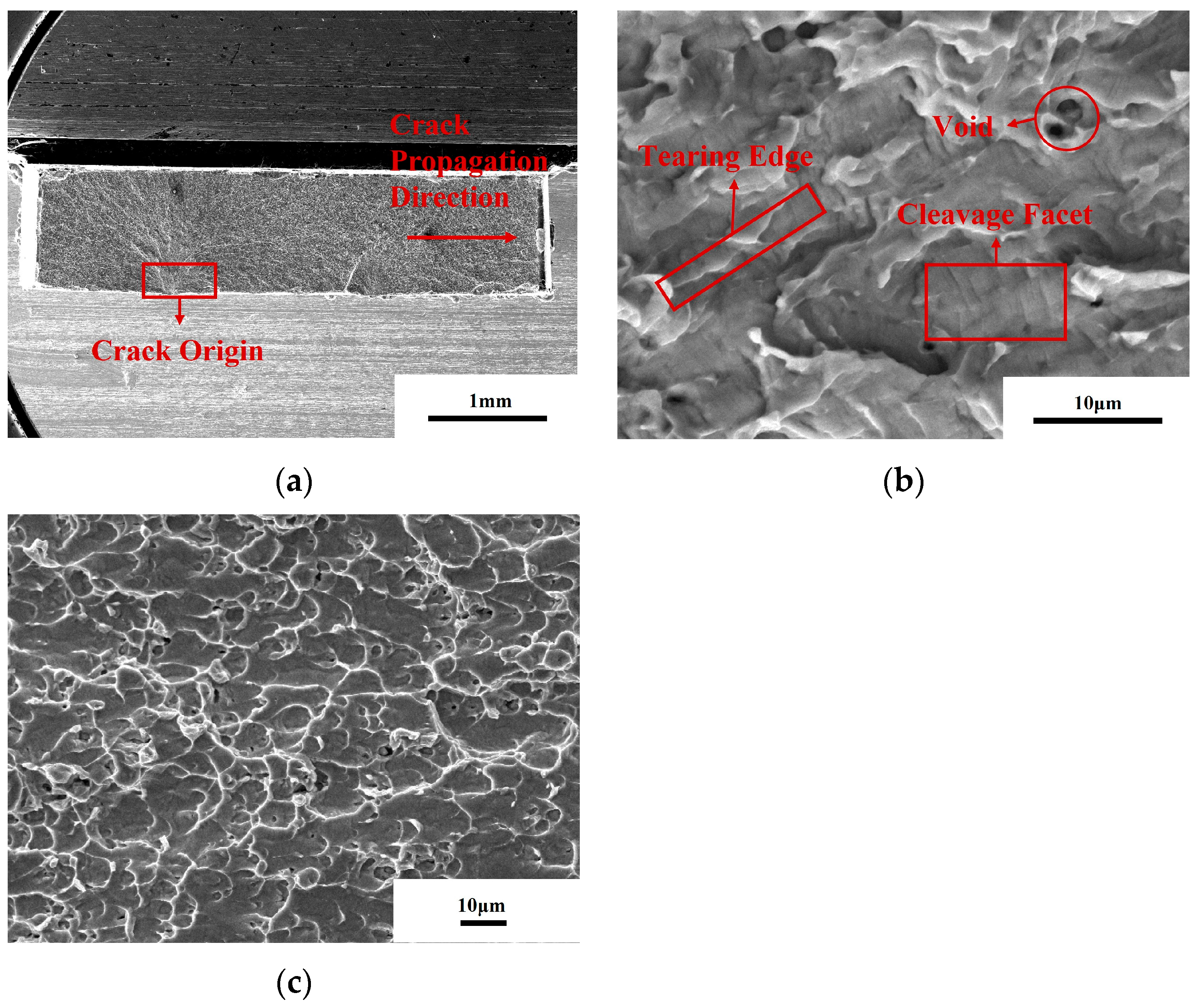 Crystals 13 00706 g012