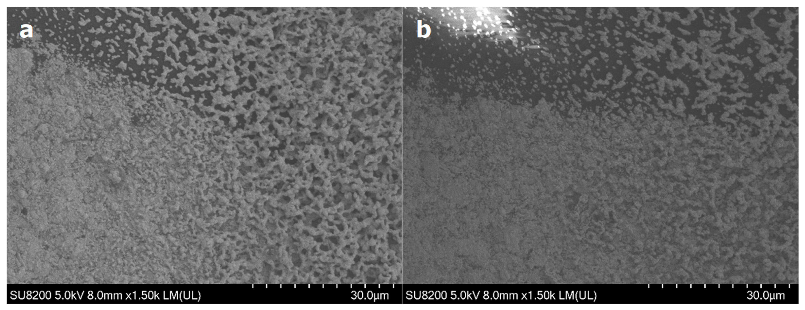 Crystals 13 00720 g017 Crystals 13 00720 g017