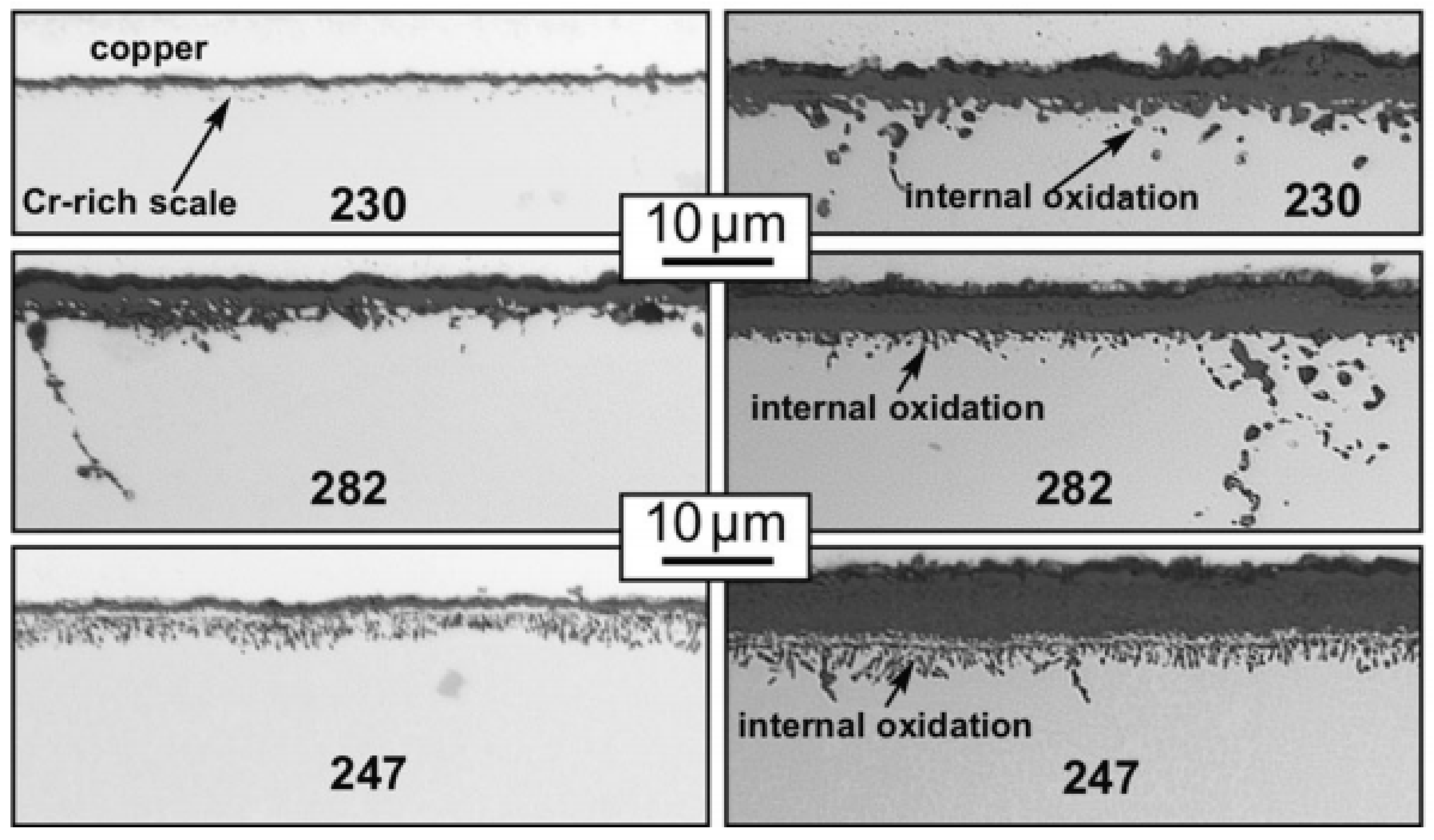 Crystals 13 00725 g007