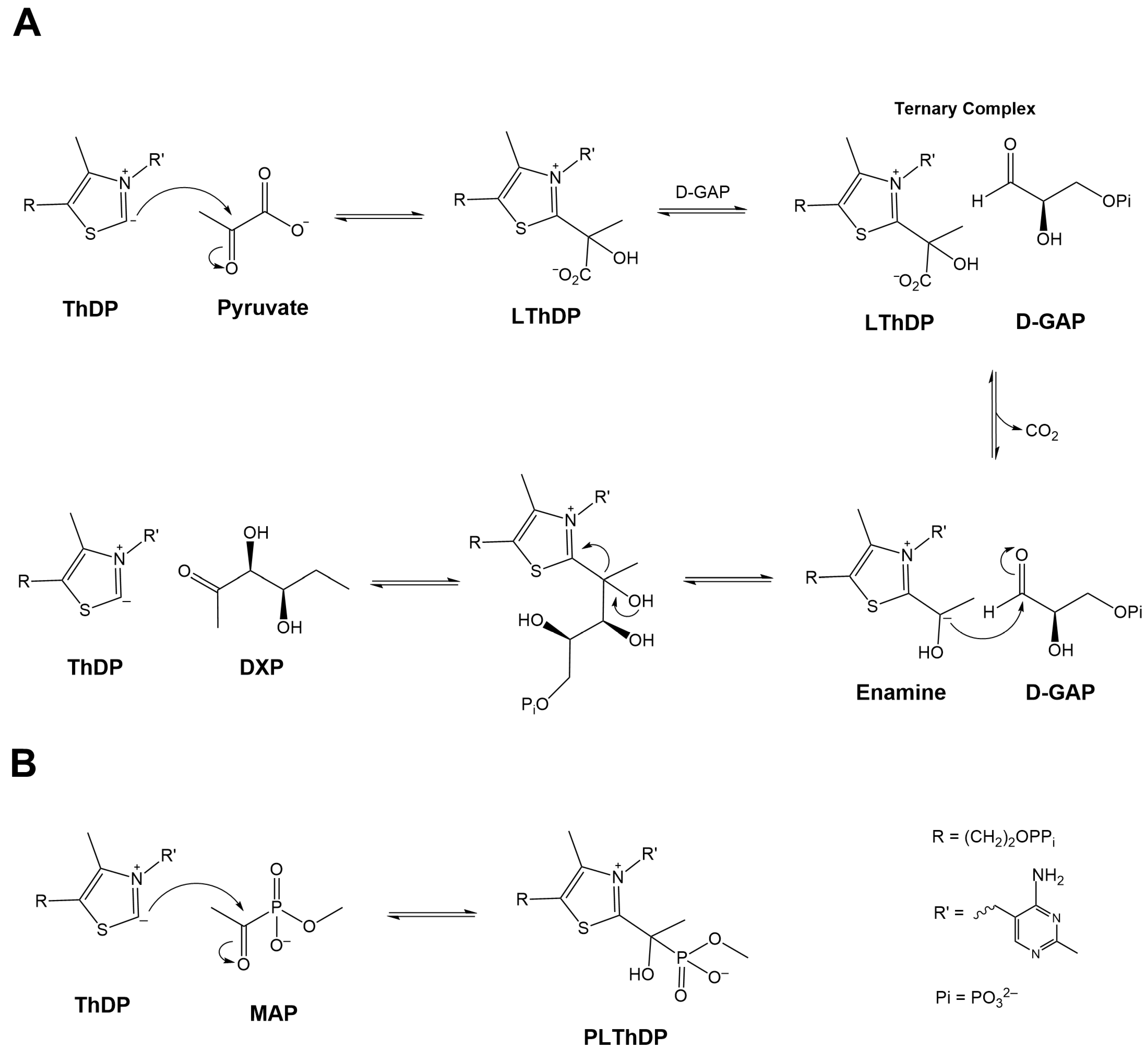 Crystals 13 00737 sch001