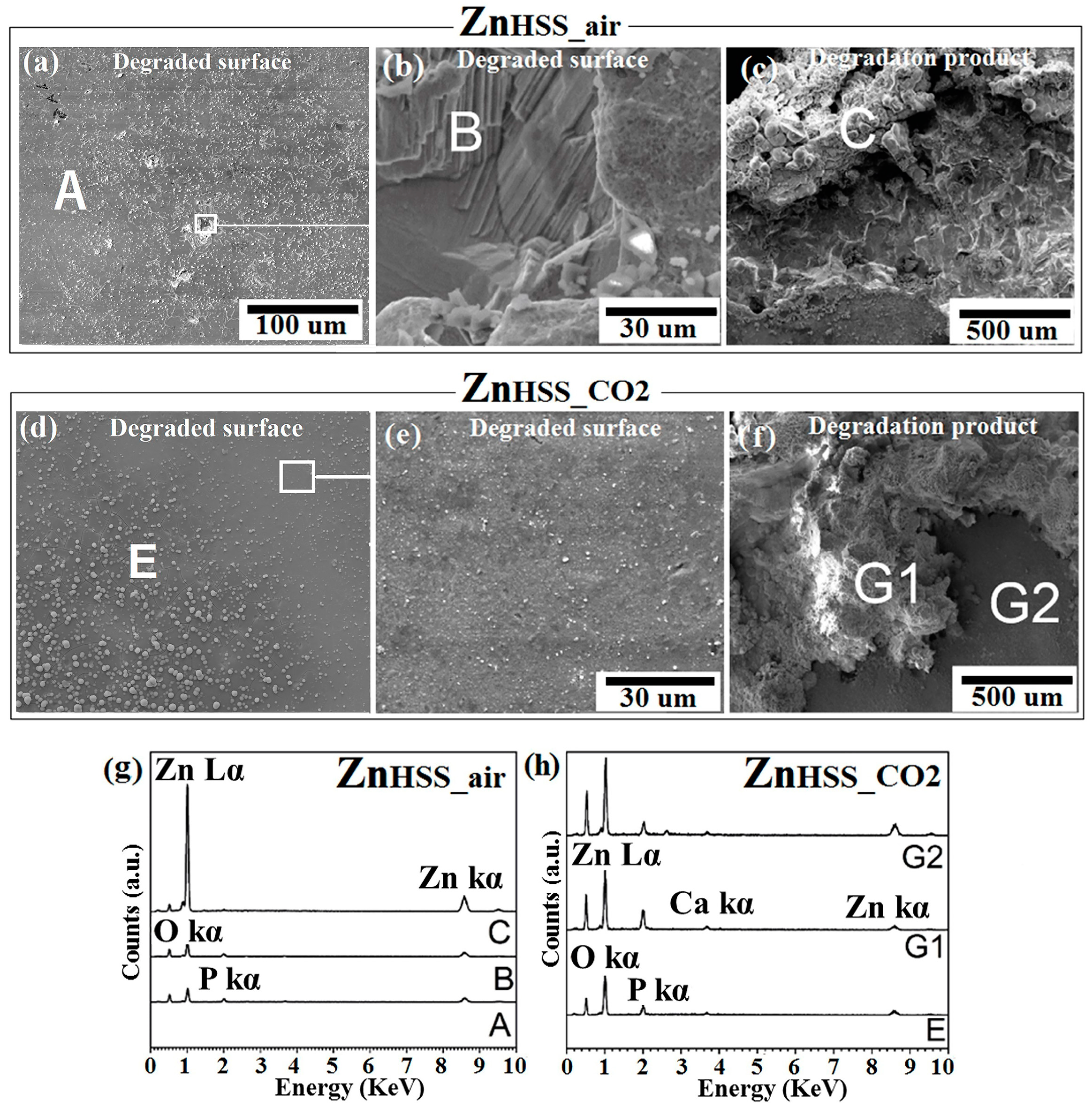 Crystals 13 00753 g002