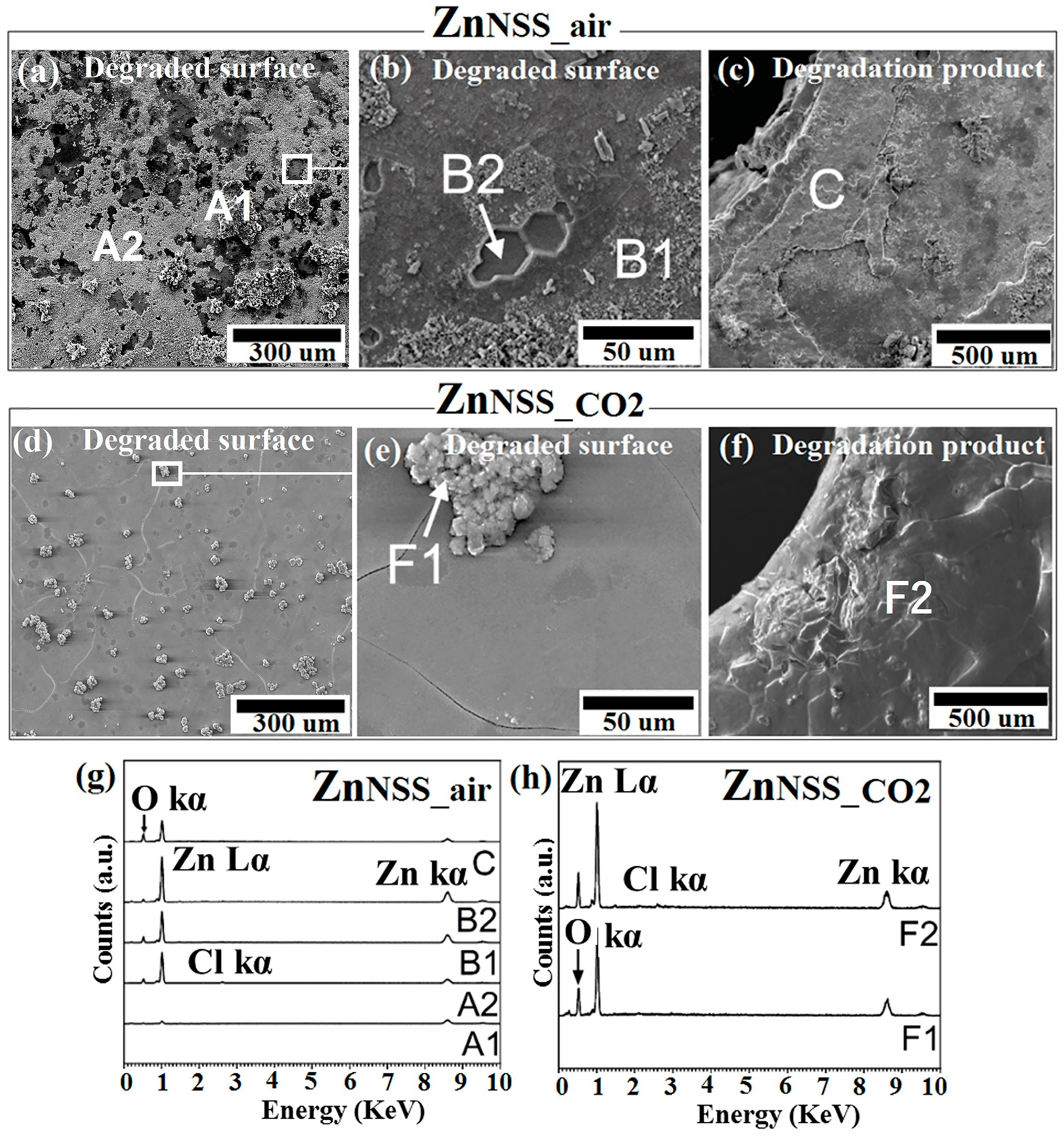Crystals 13 00753 g004