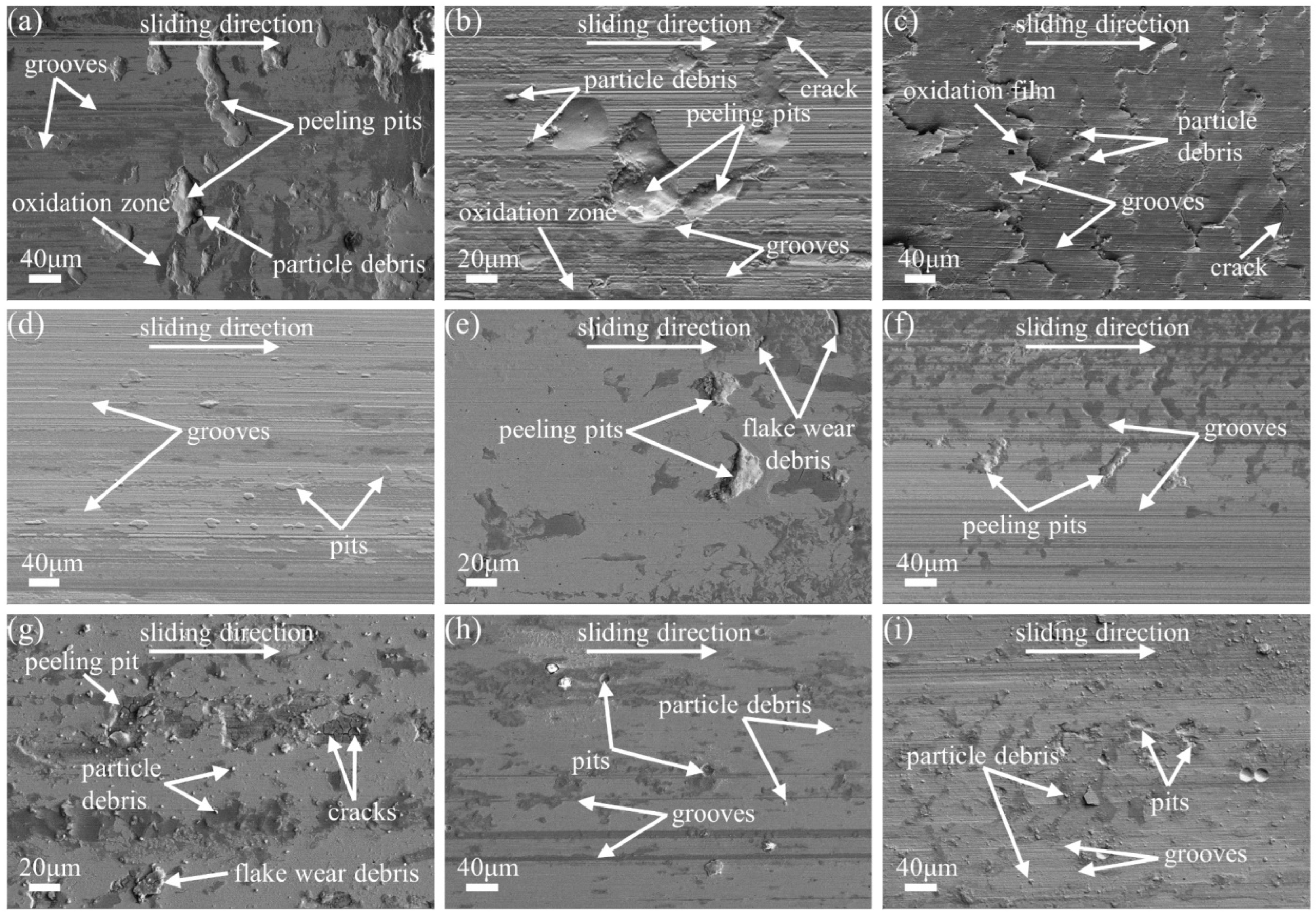 Crystals 13 00770 g005