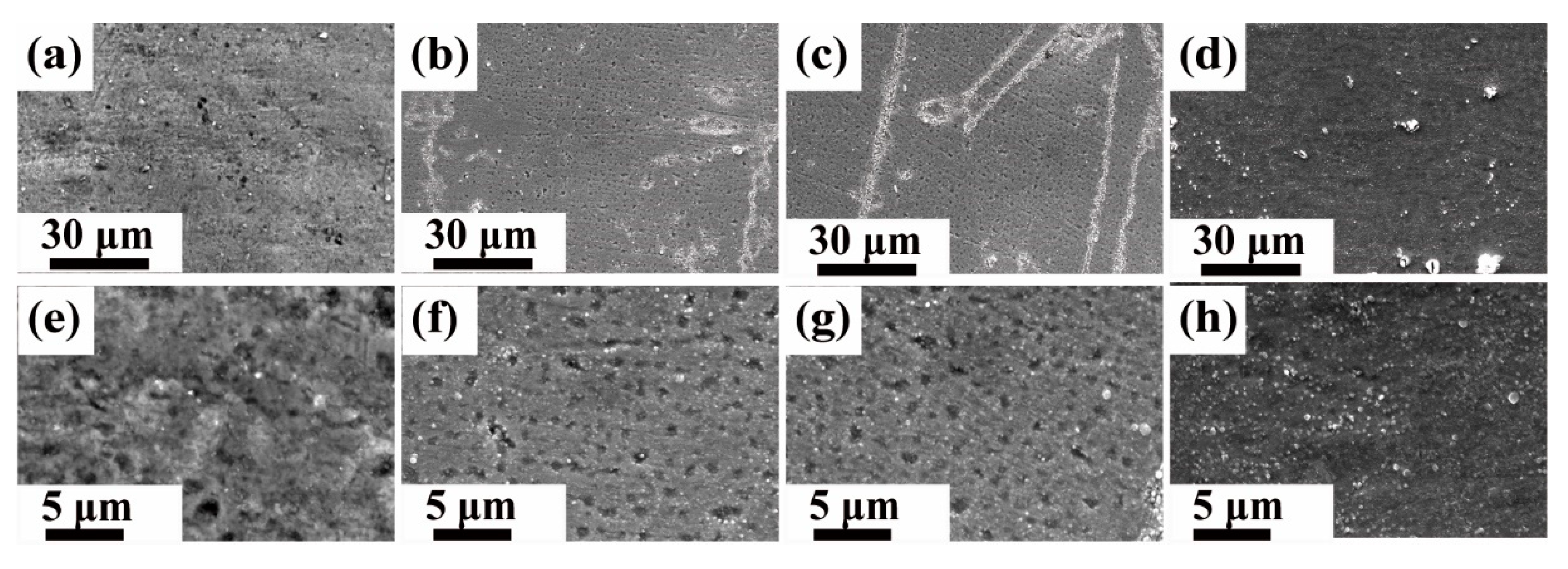 Crystals 13 00781 g001