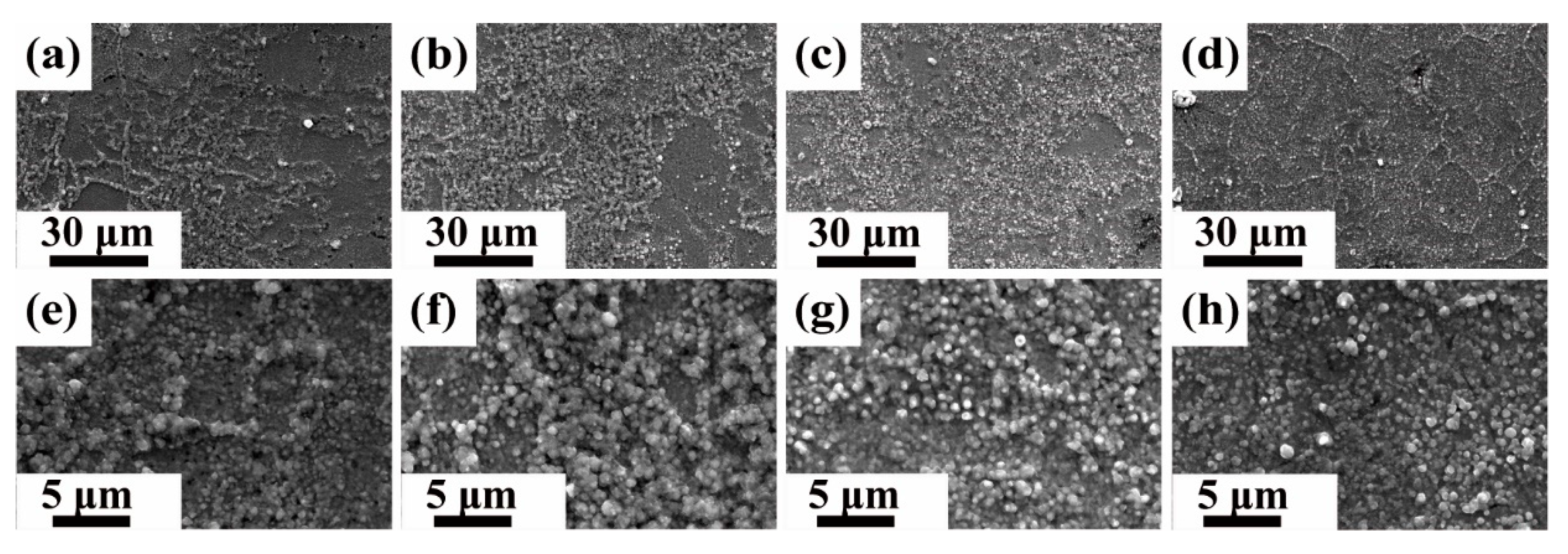 Crystals 13 00781 g003