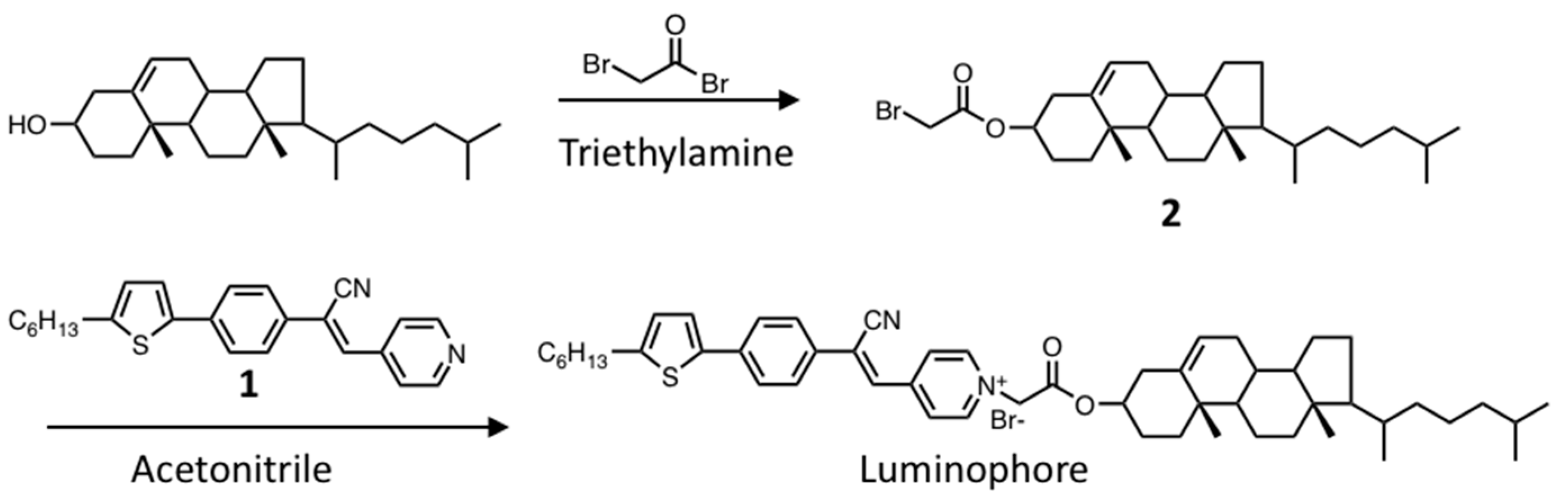 Crystals 13 00786 sch001 Crystals 13 00786 sch001