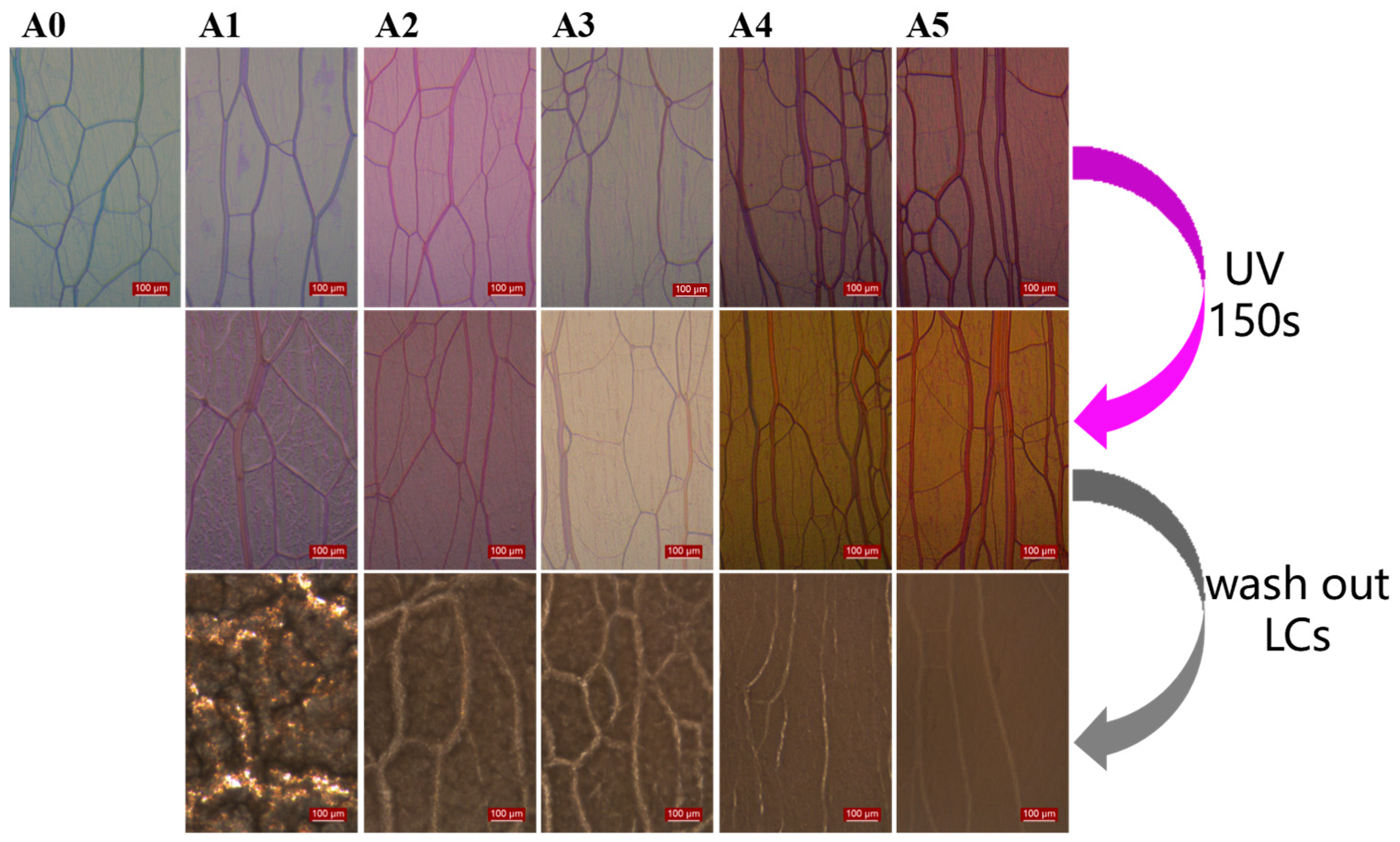 Crystals 13 00787 g003