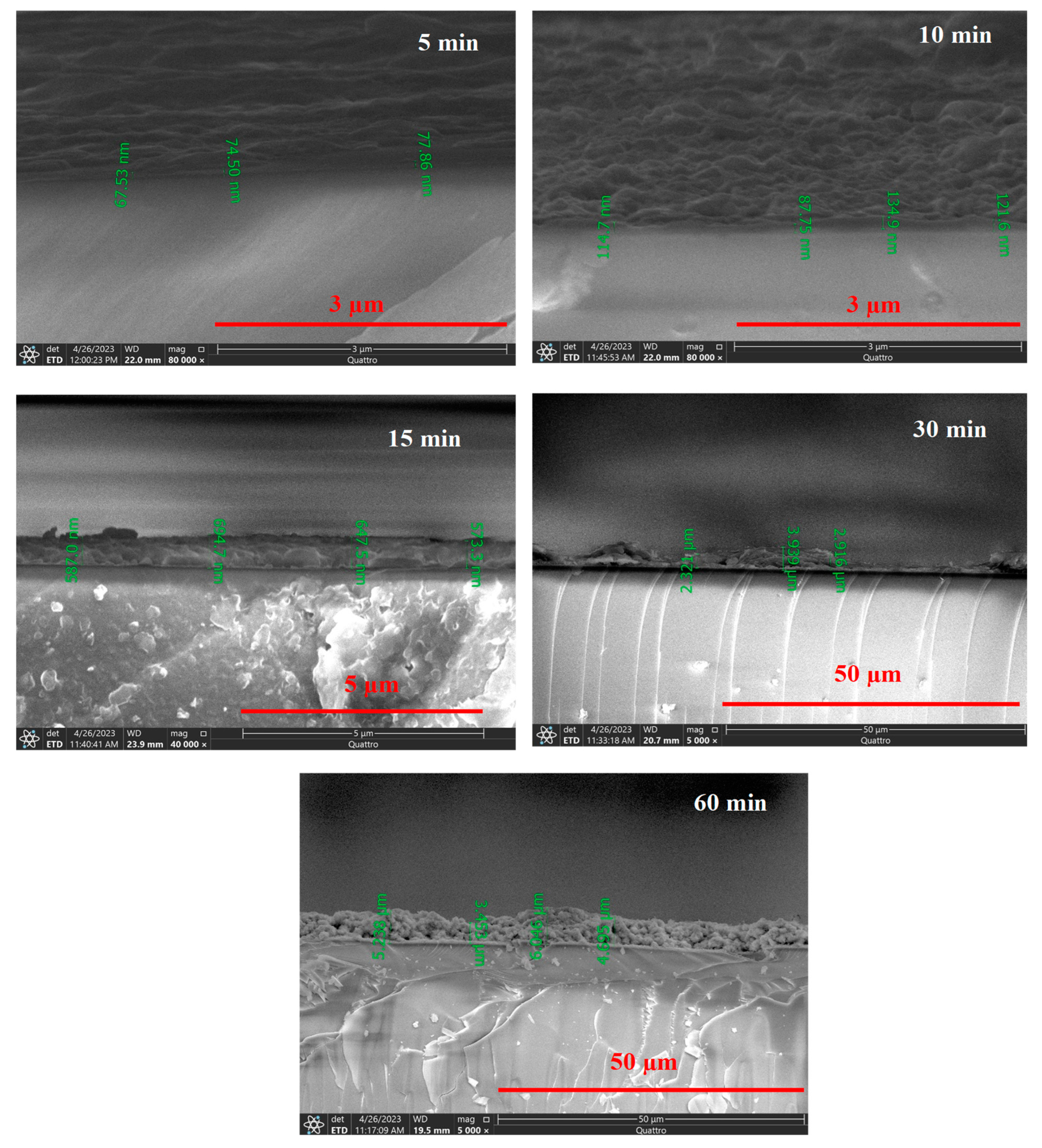 Crystals 13 00788 g006