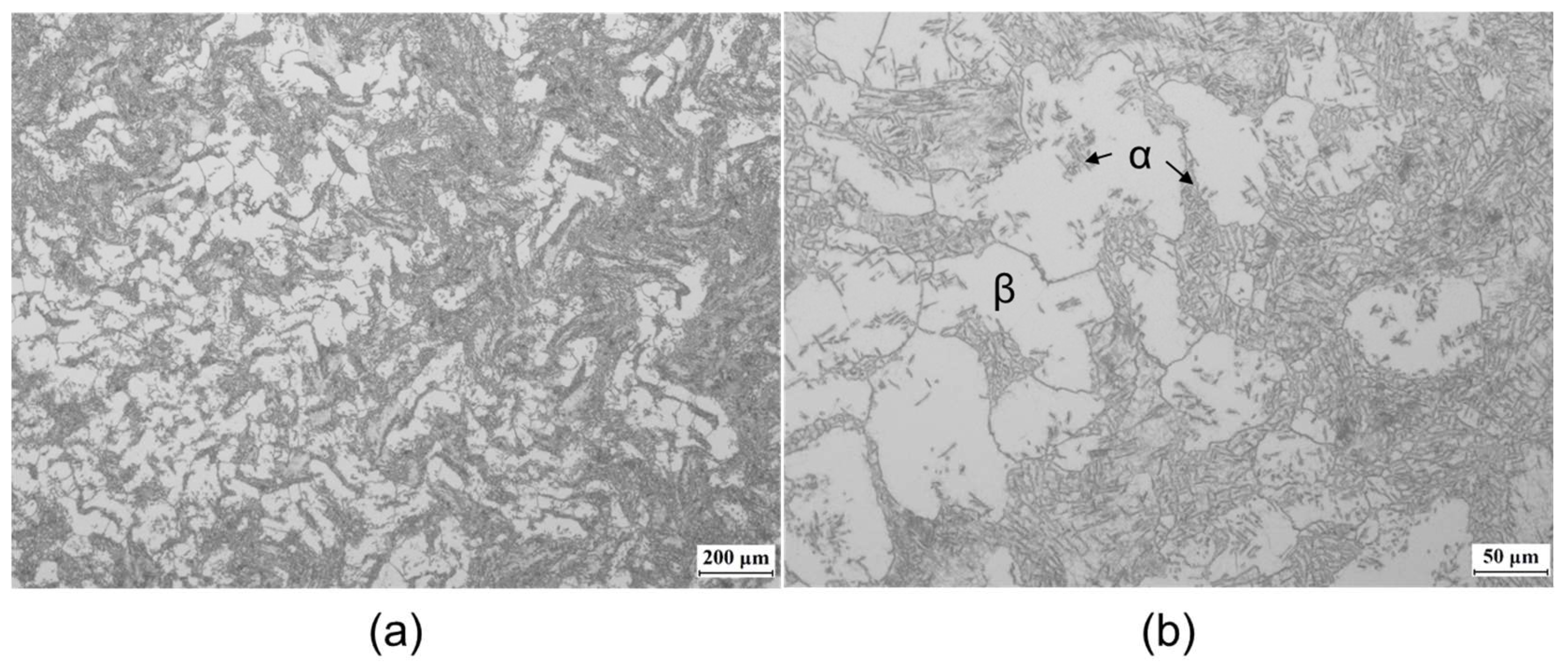 Crystals 13 00818 g001