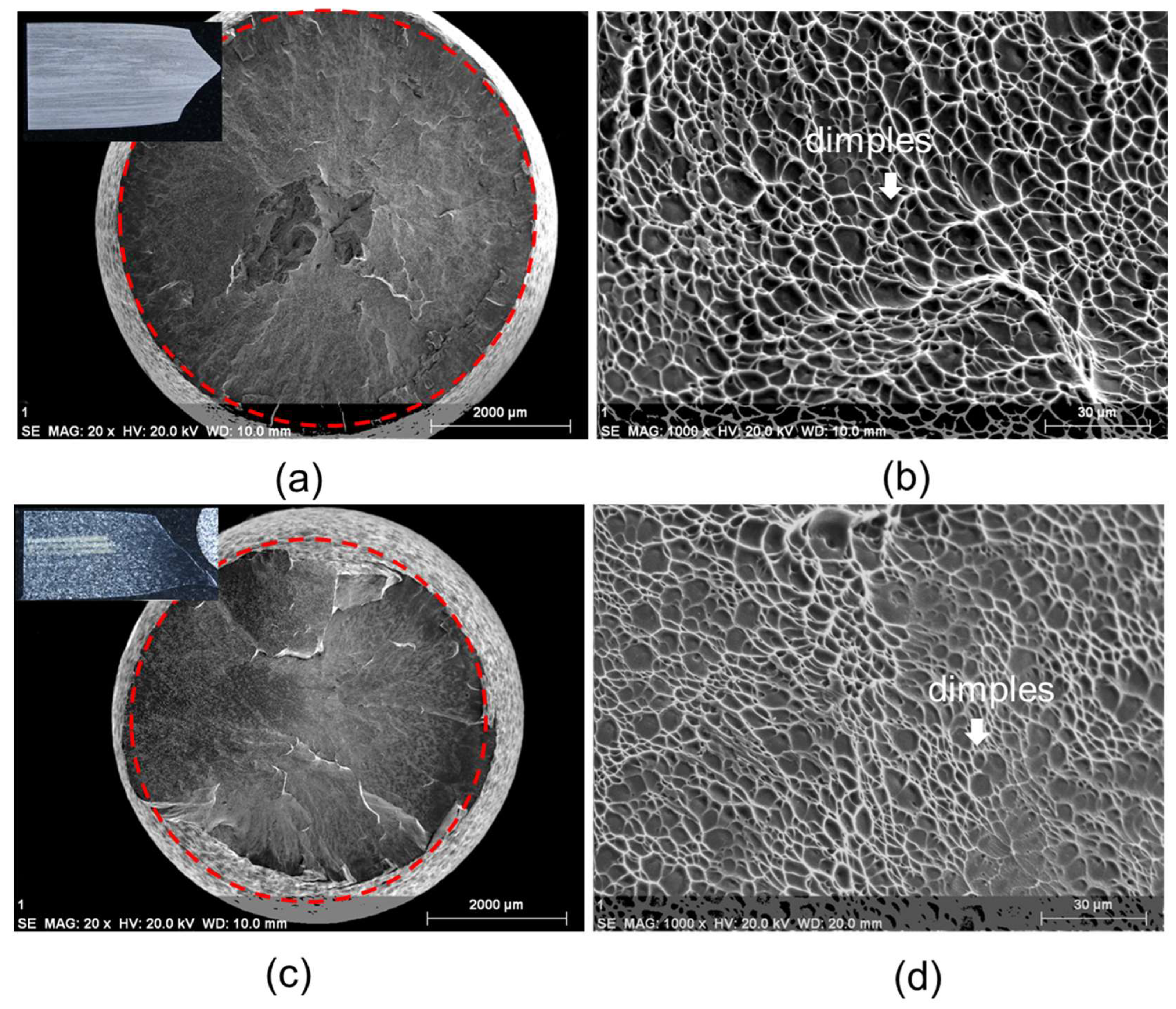 Crystals 13 00818 g004