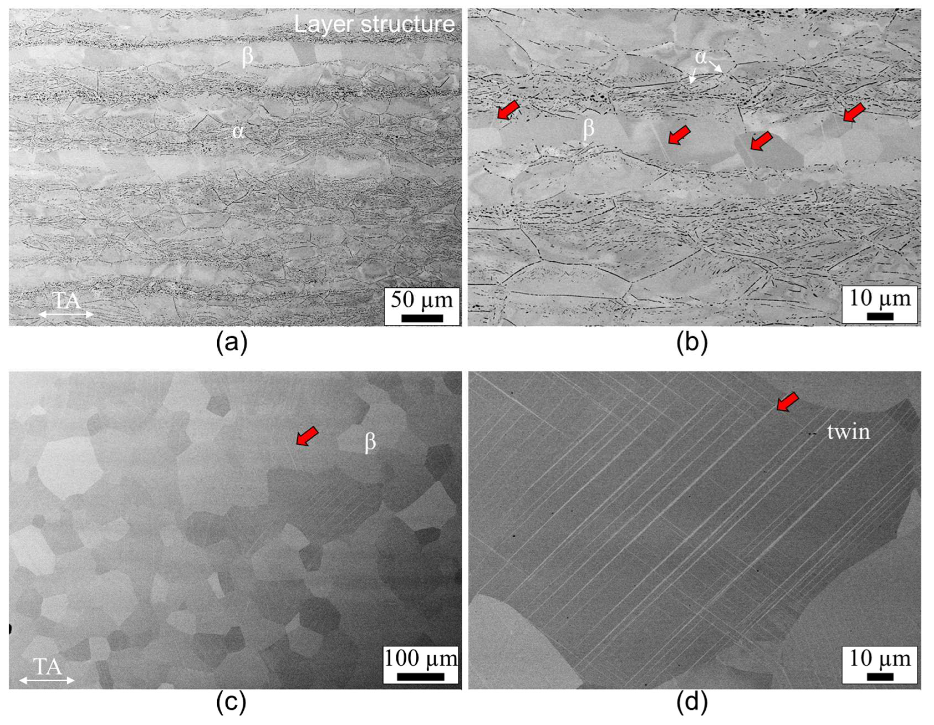 Crystals 13 00818 g005