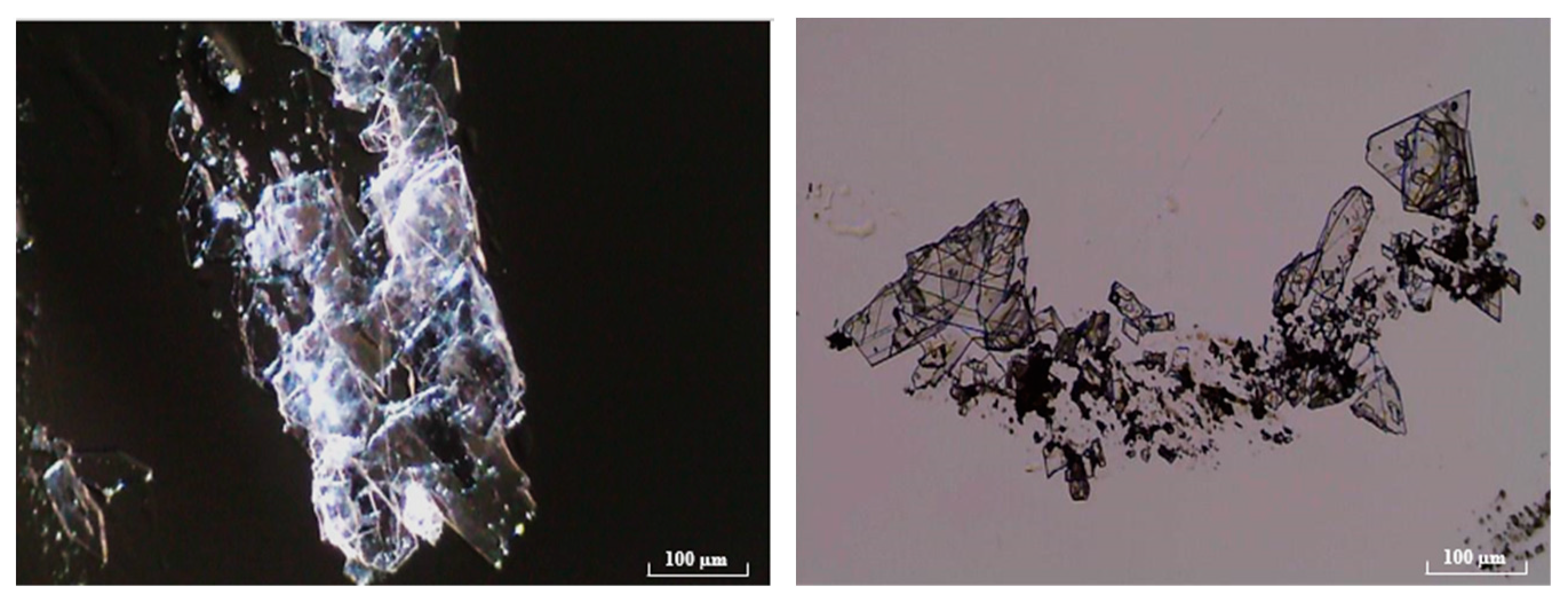 Crystals 13 00836 g008