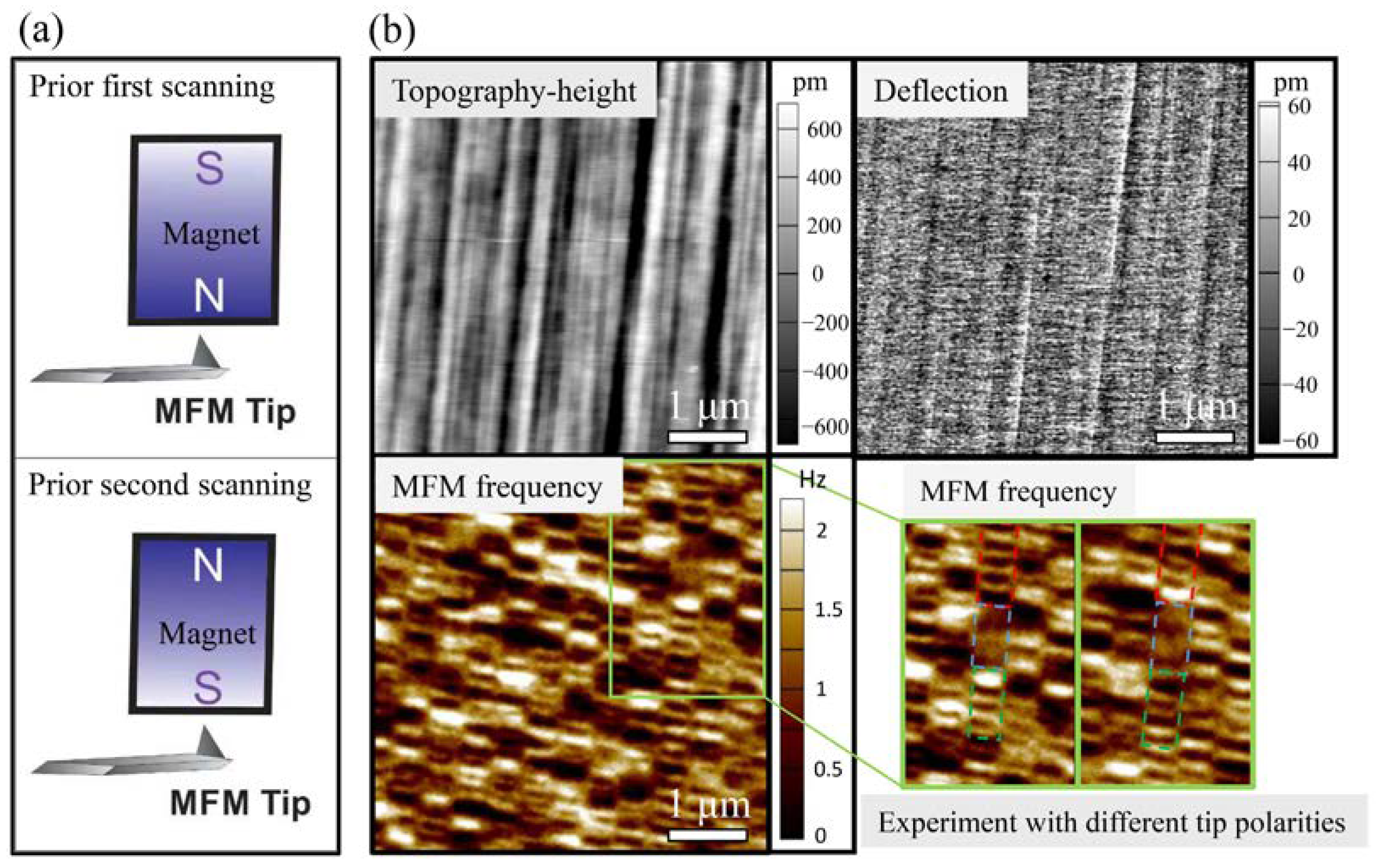Crystals 13 00838 g003