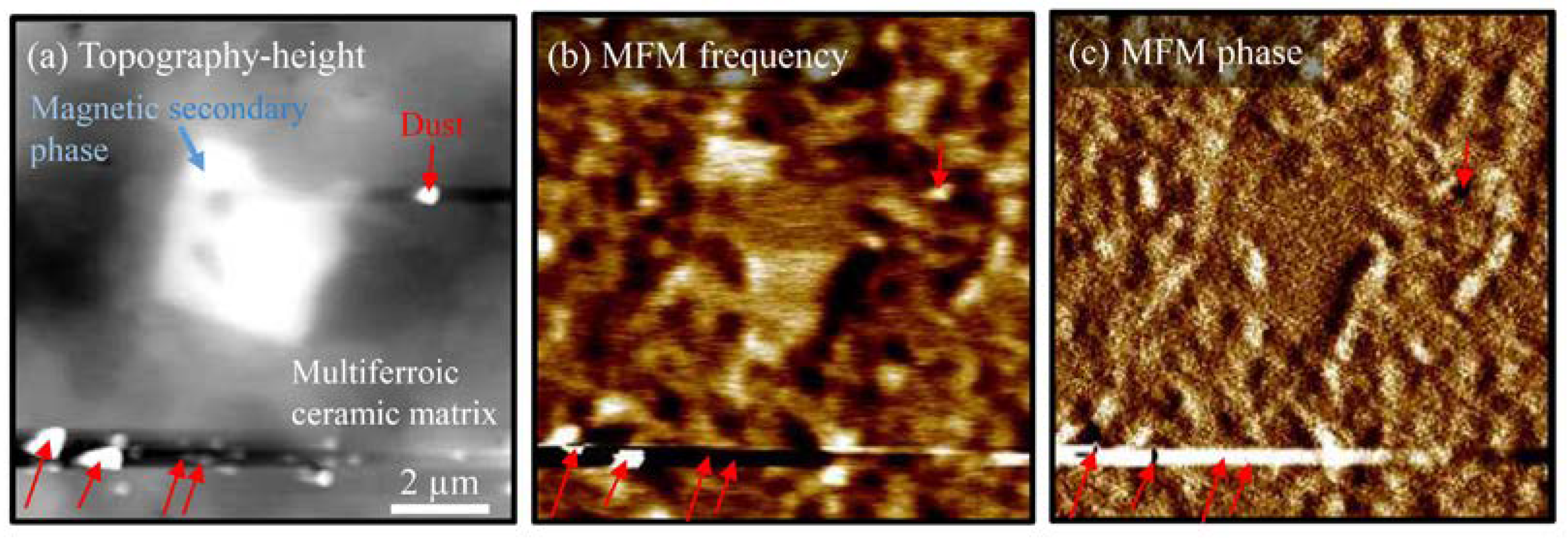 Crystals 13 00838 g005