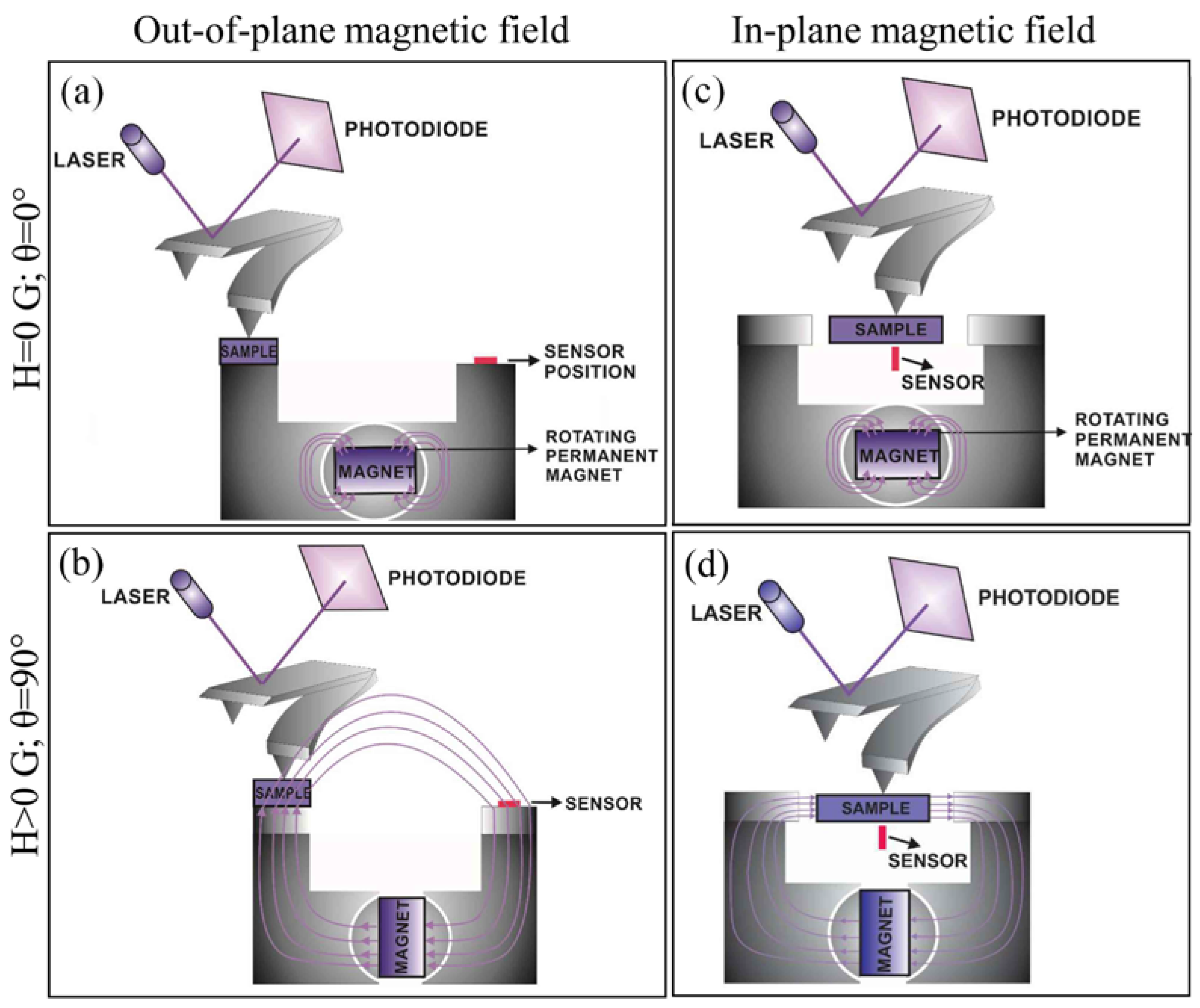 Crystals 13 00838 g010