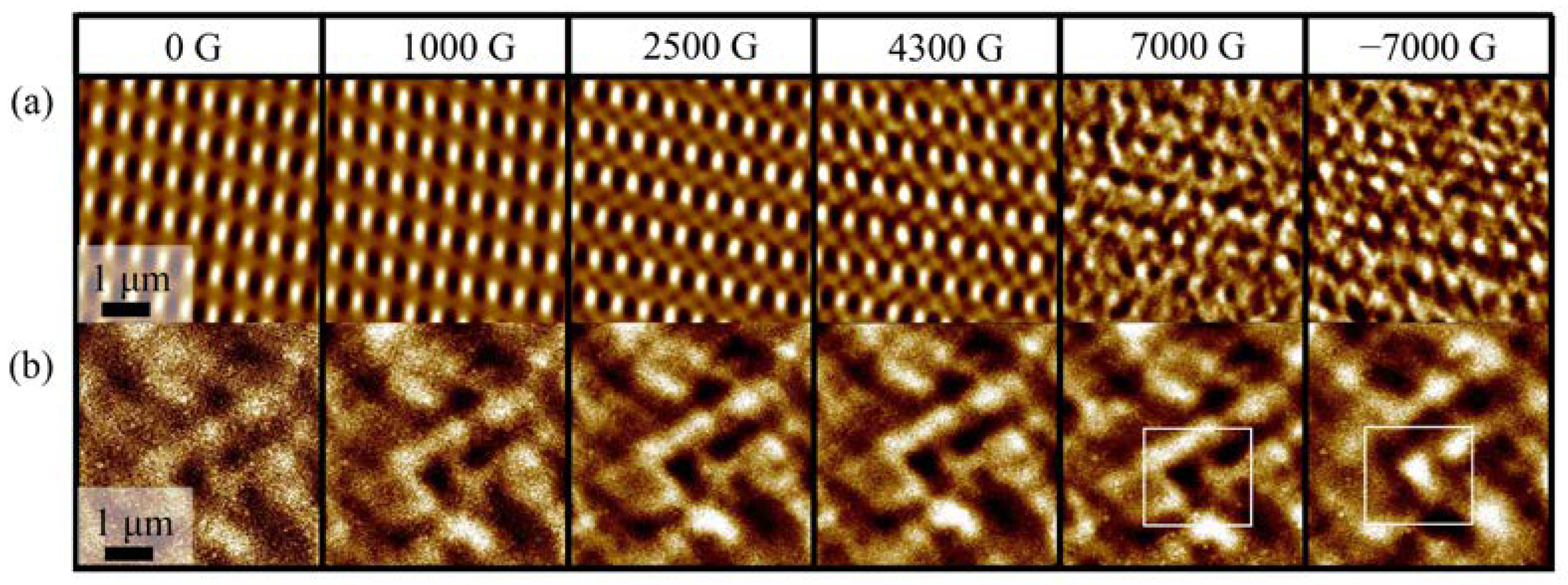 Crystals 13 00838 g011