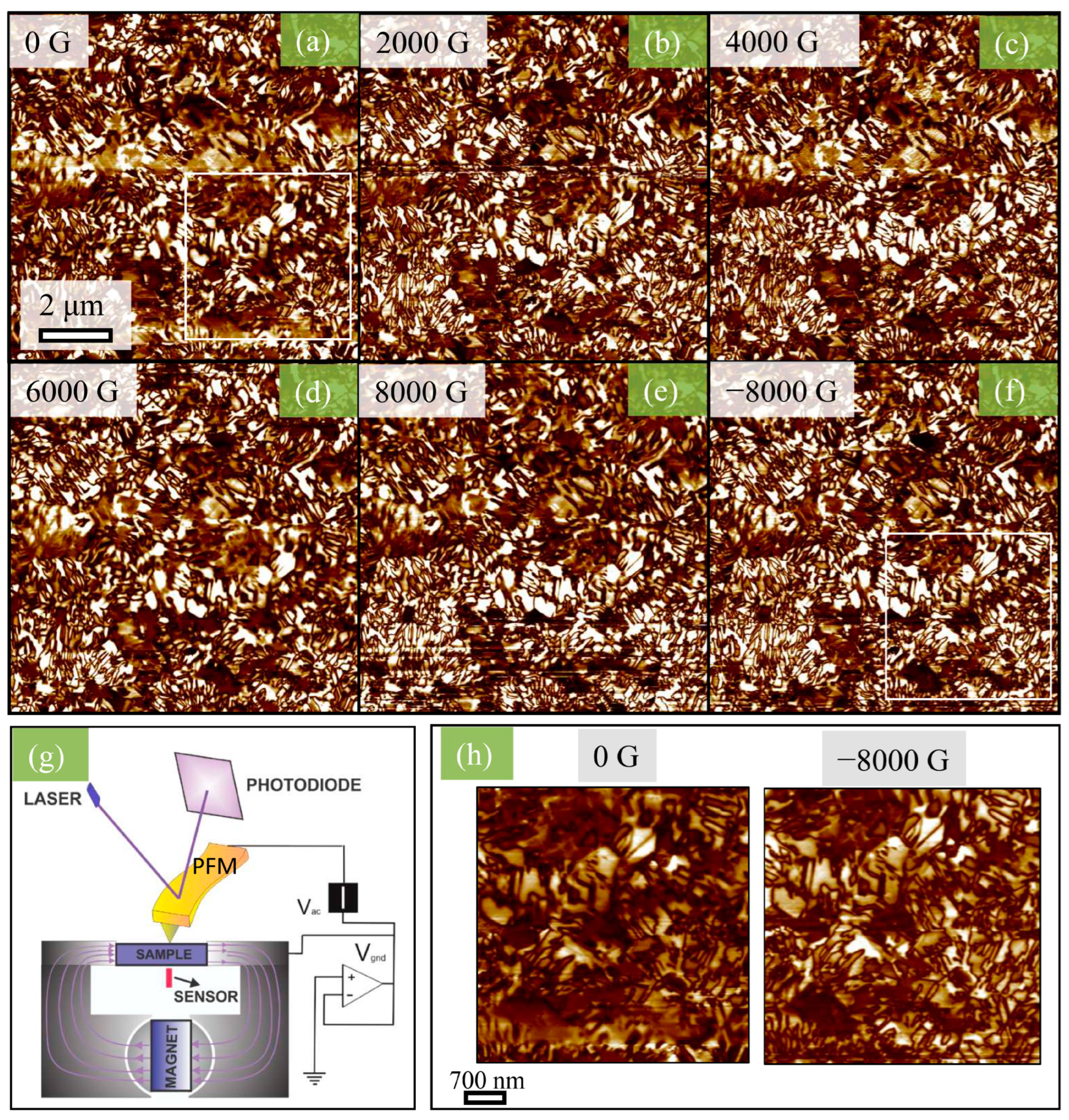 Crystals 13 00838 g012