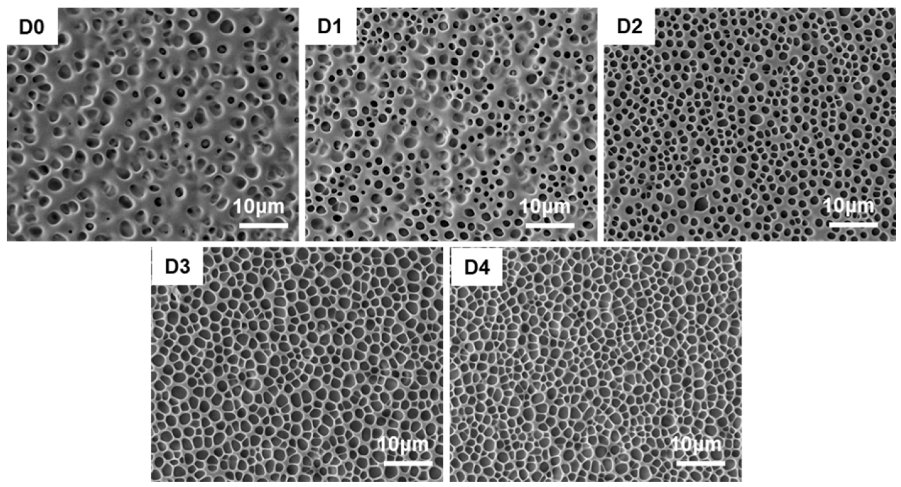 Crystals 13 00843 g009