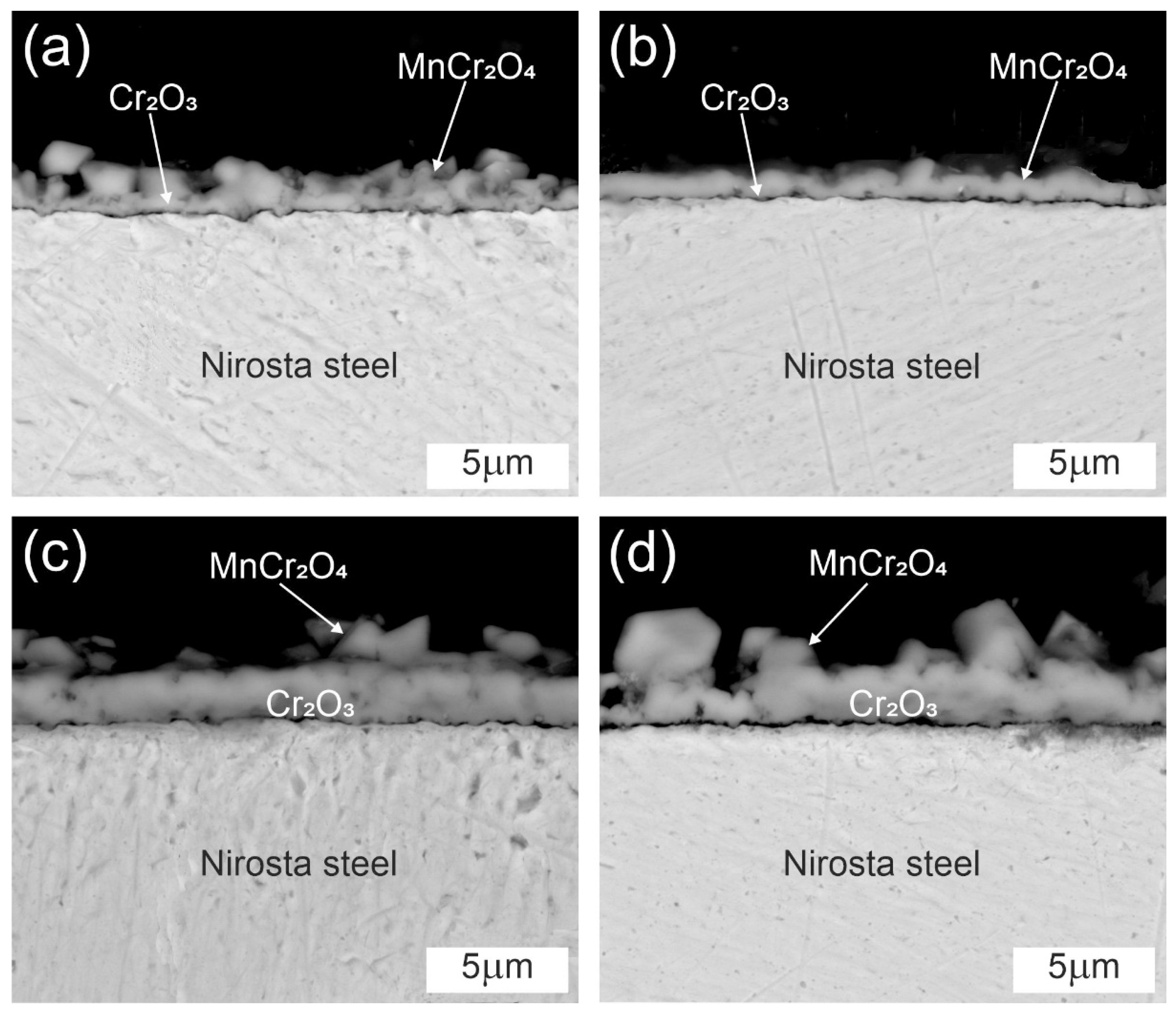 Crystals 13 00862 g008