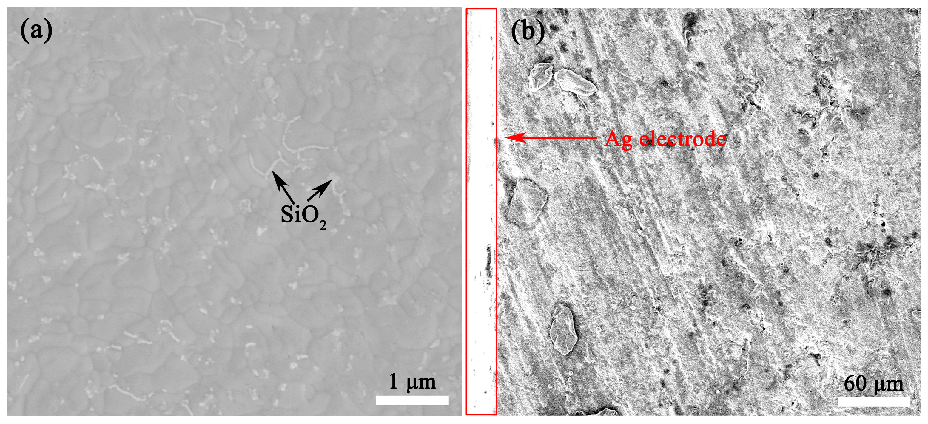 Crystals 13 00870 g008