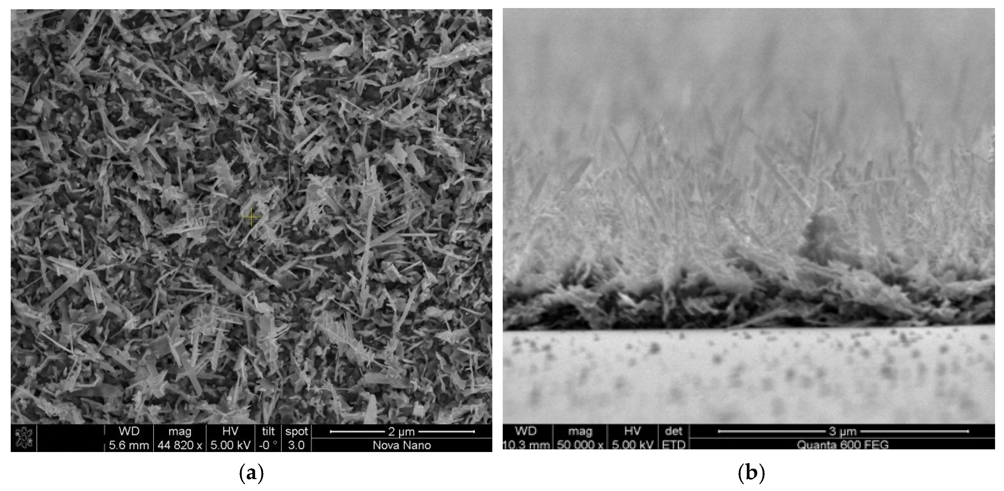 Crystals 13 00876 g009 Crystals 13 00876 g009