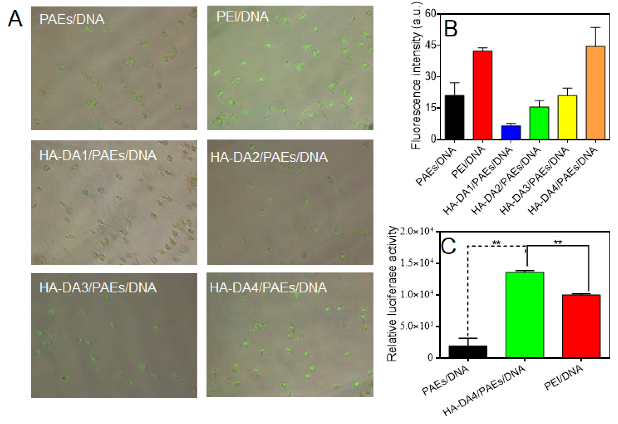 Crystals 13 00893 g001