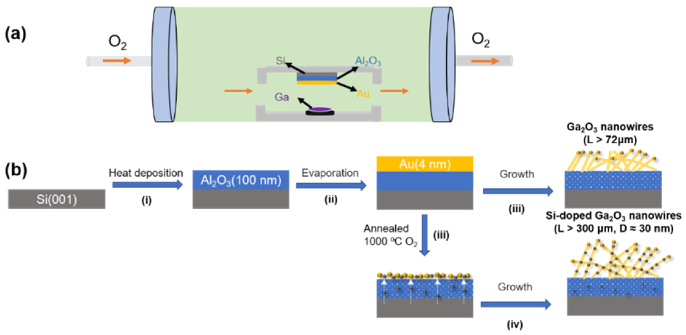 Crystals 13 00898 g001