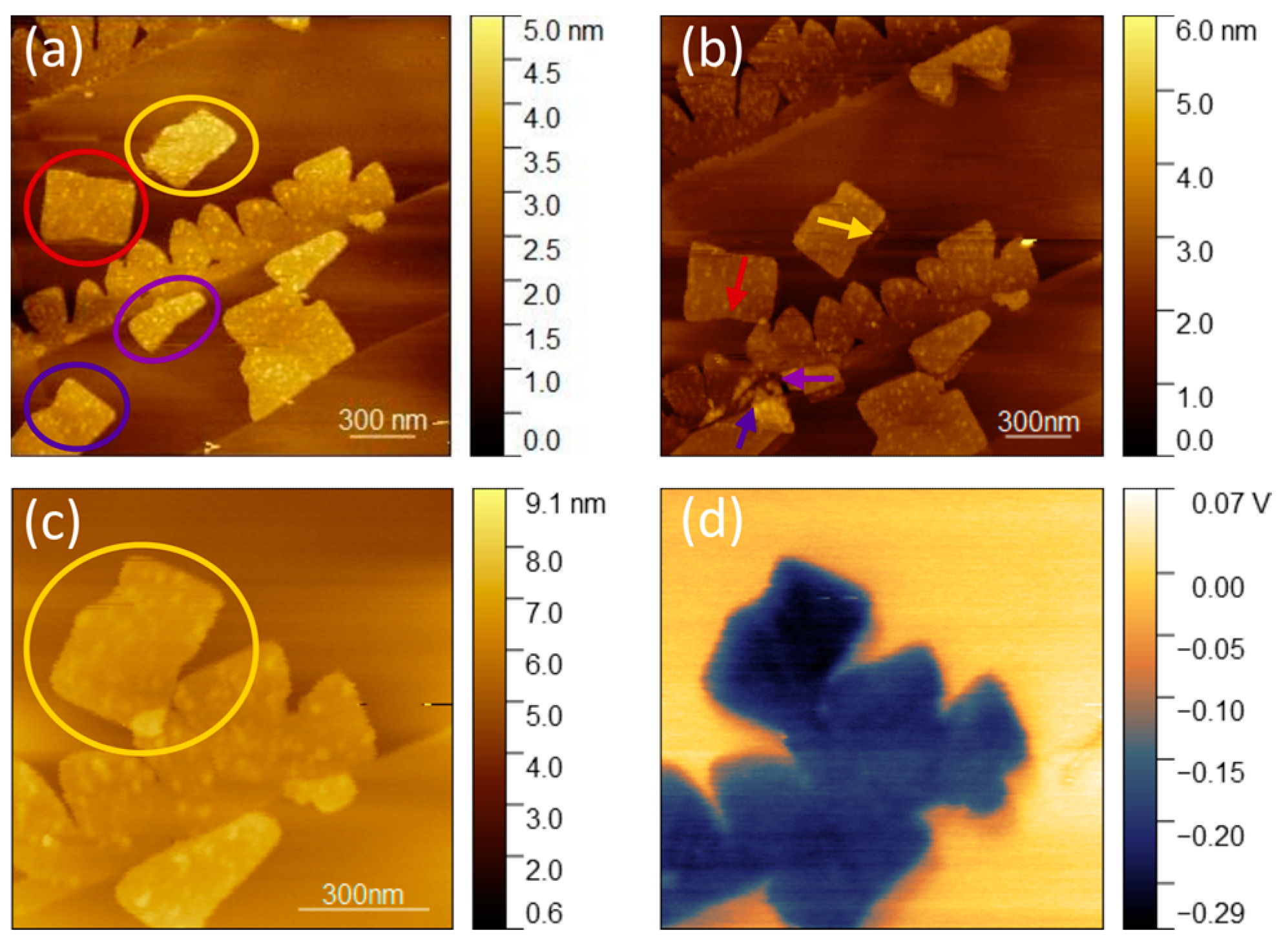 Crystals 13 00905 g002