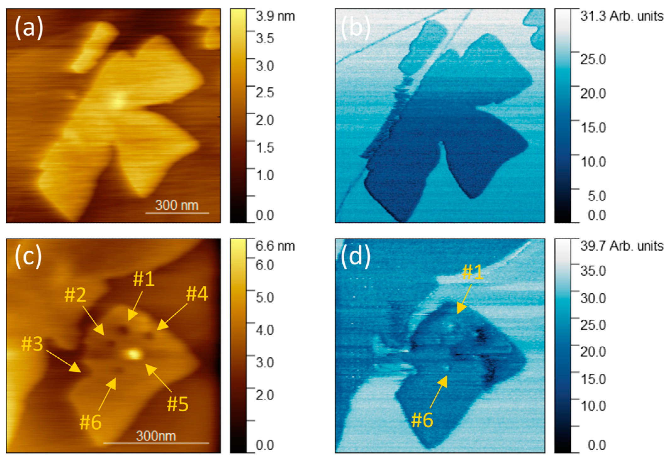 Crystals 13 00905 g004