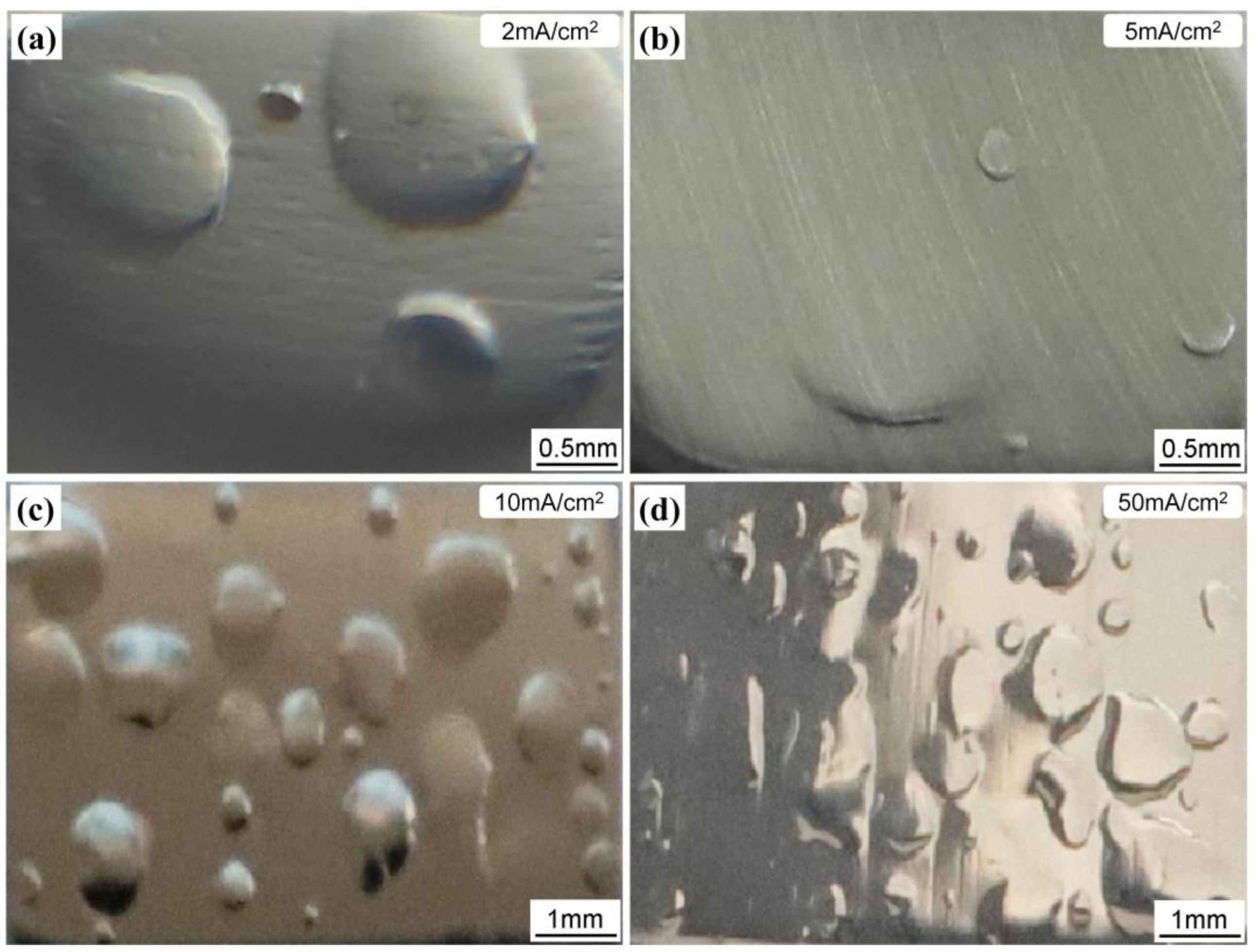 Crystals 13 00918 g001