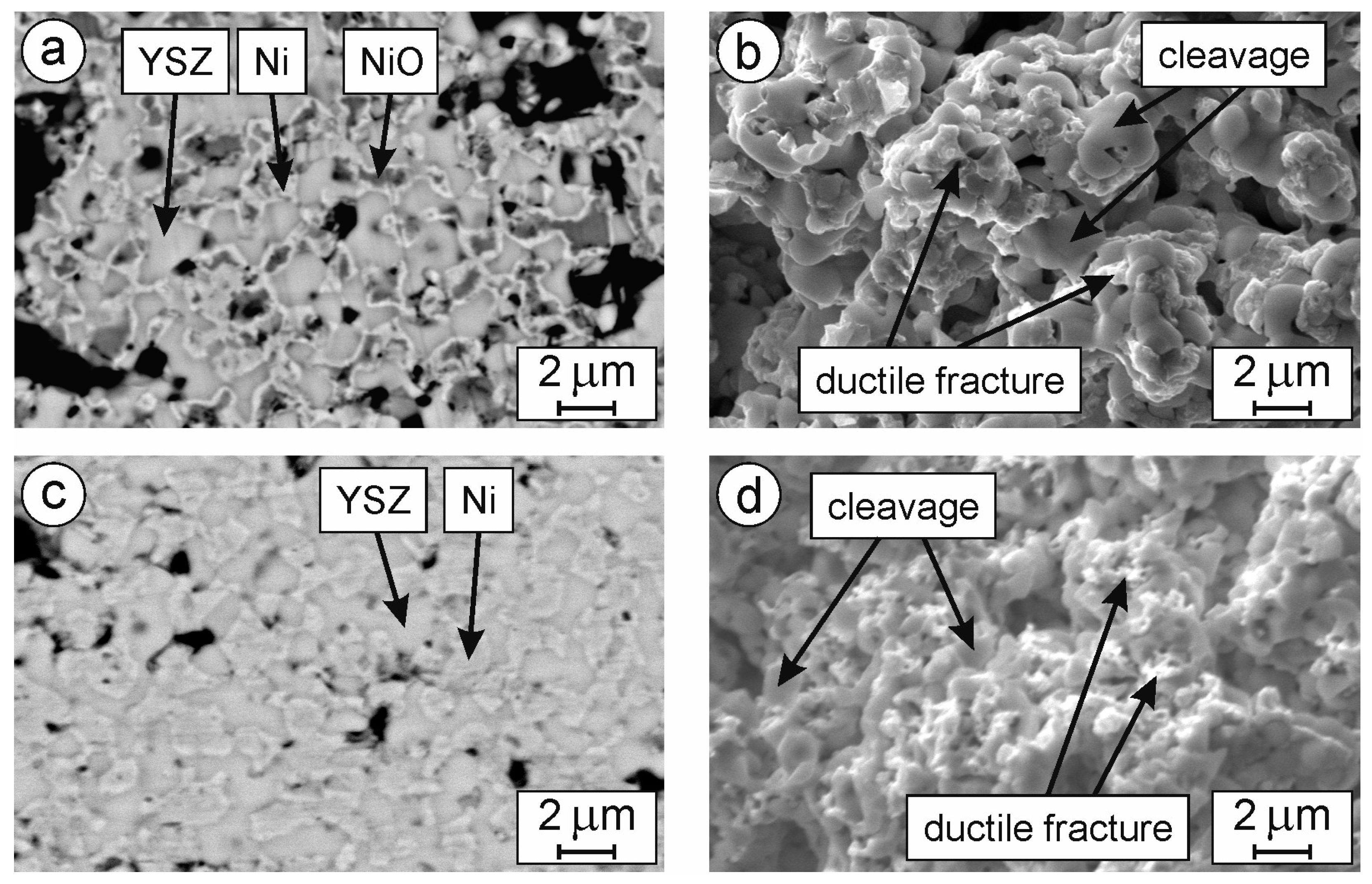 Crystals 13 00944 g005