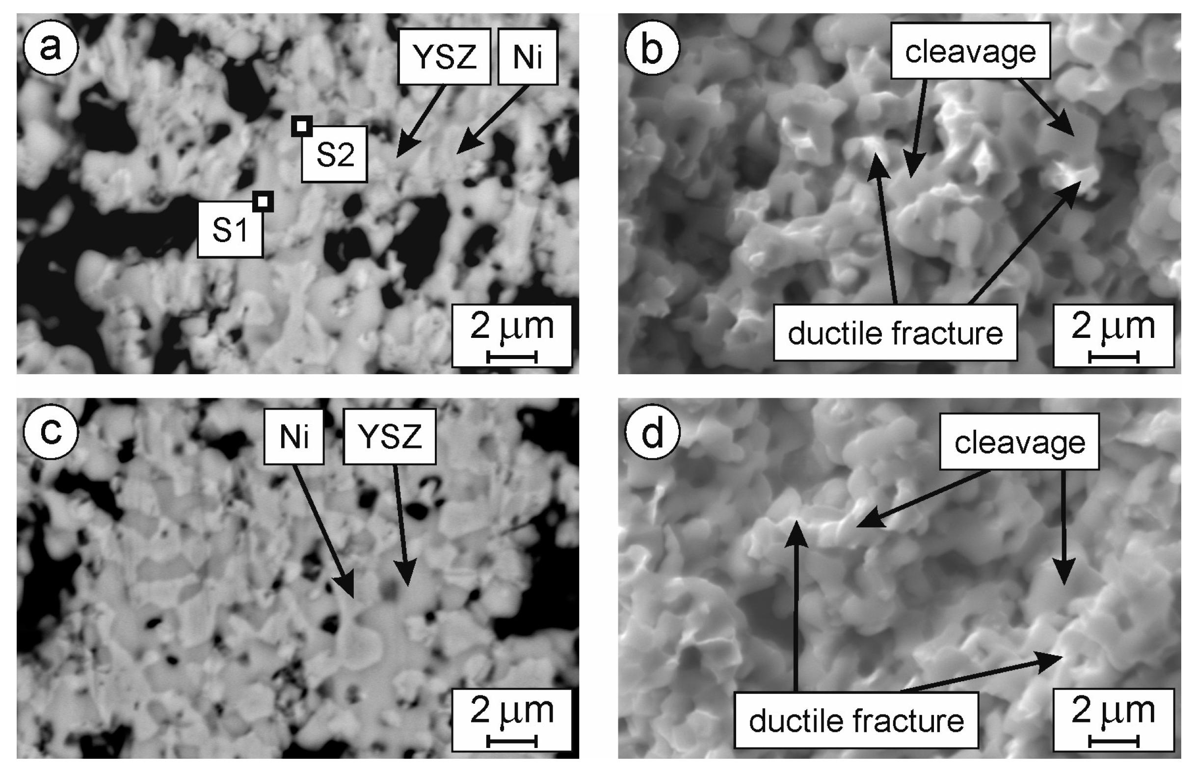 Crystals 13 00944 g006