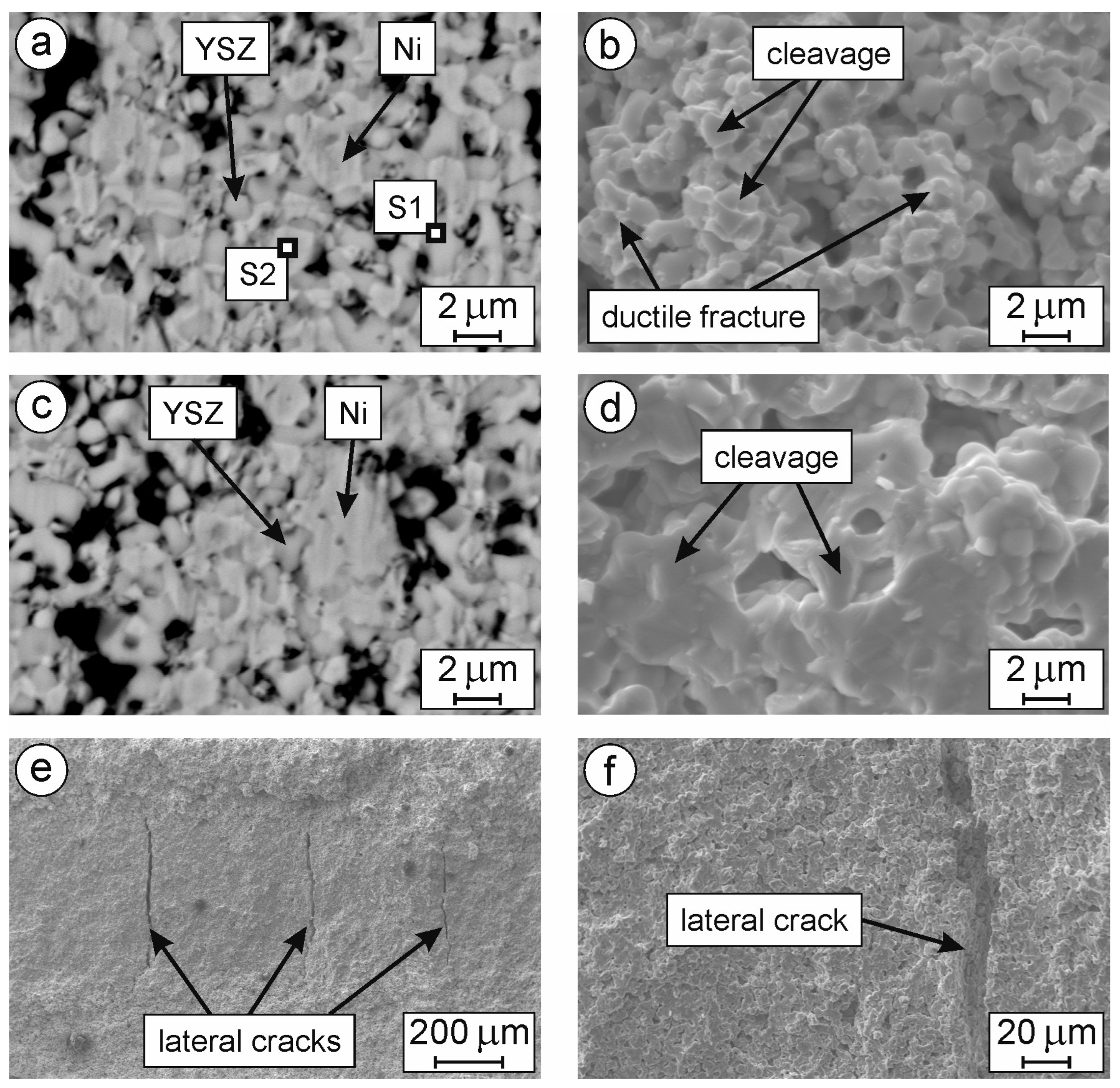 Crystals 13 00944 g007