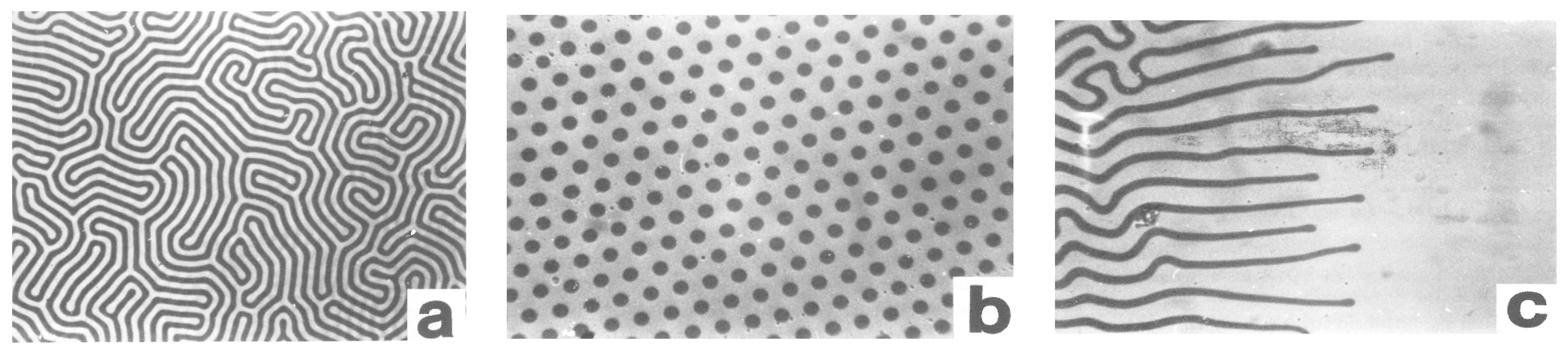 Crystals 13 00946 g015