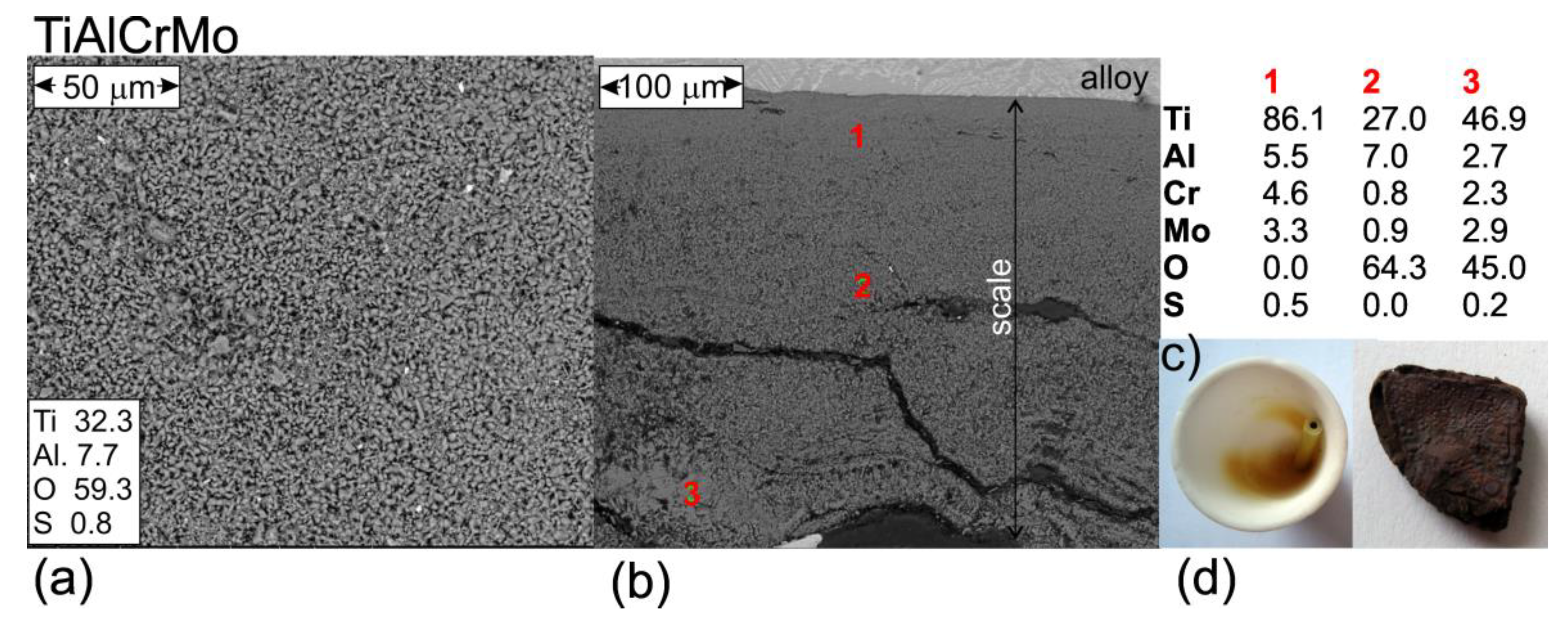Crystals 13 00948 g005
