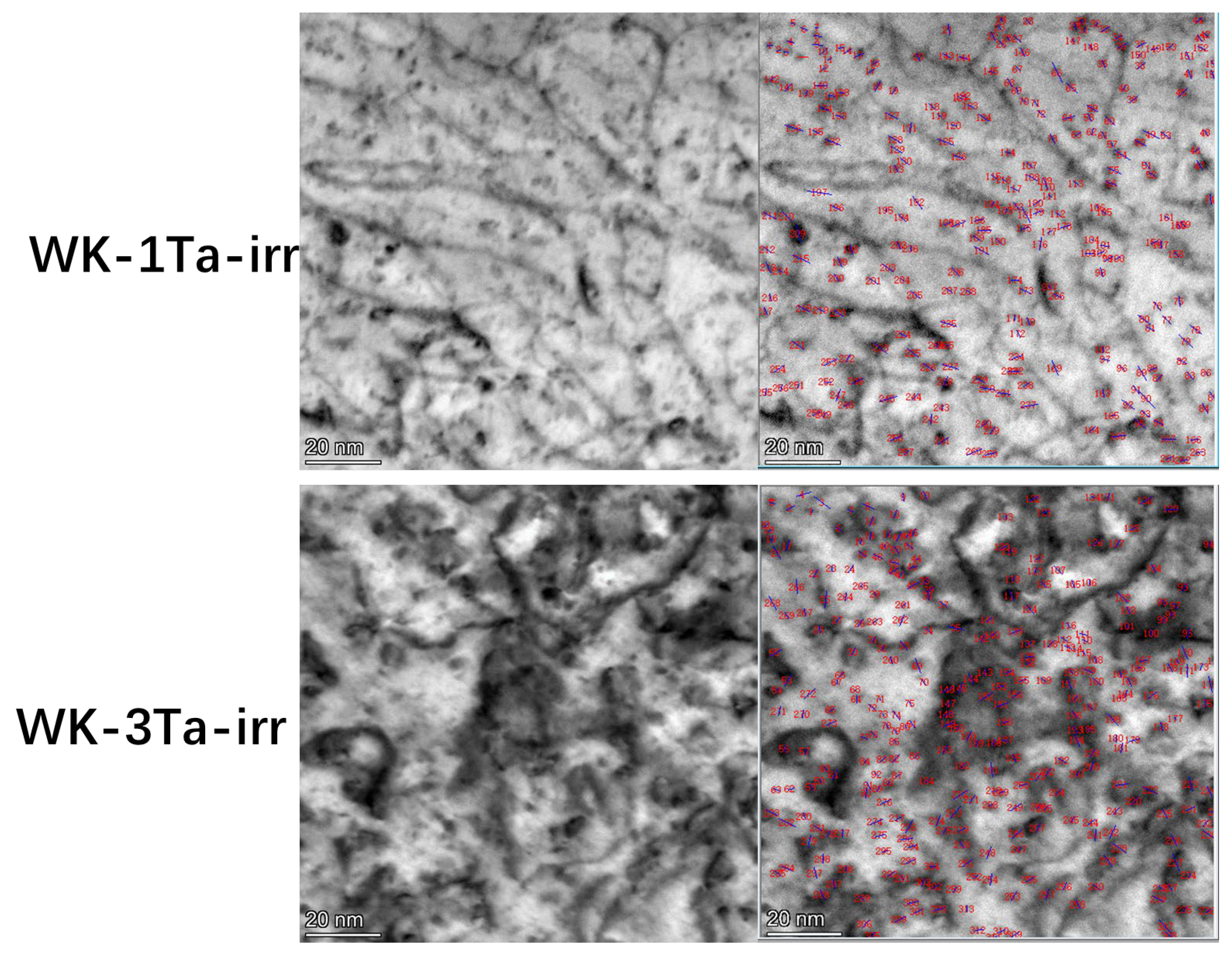 Crystals 13 00951 g010