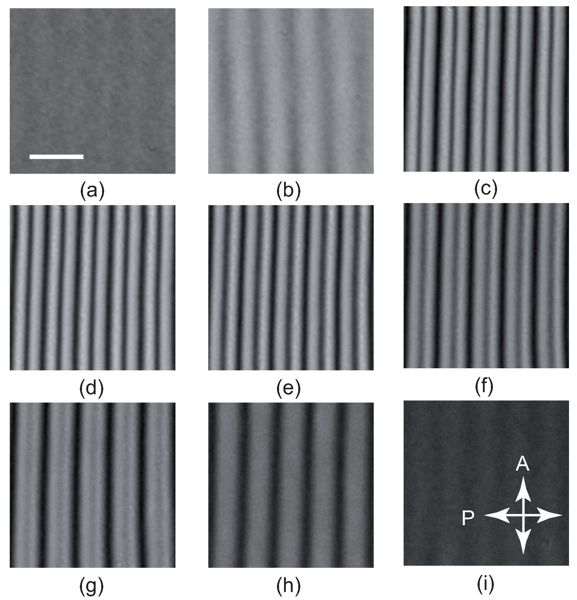 Crystals 13 00957 g011