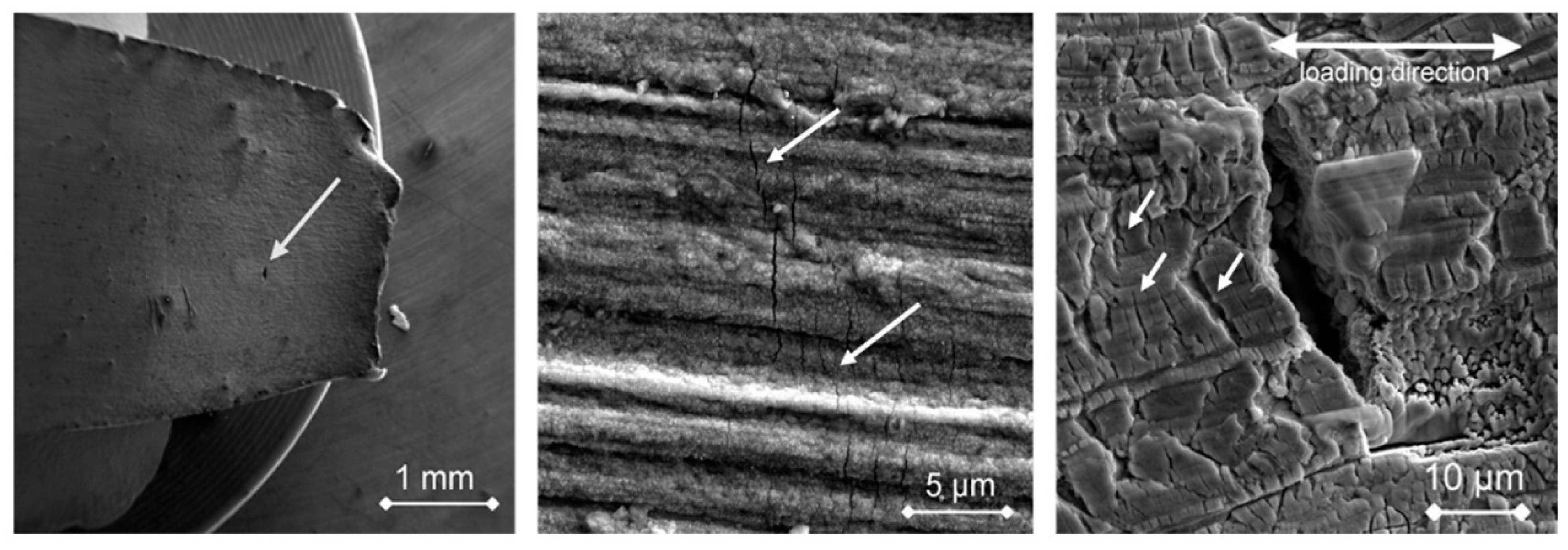 Crystals 13 00968 g004 Crystals 13 00968 g004