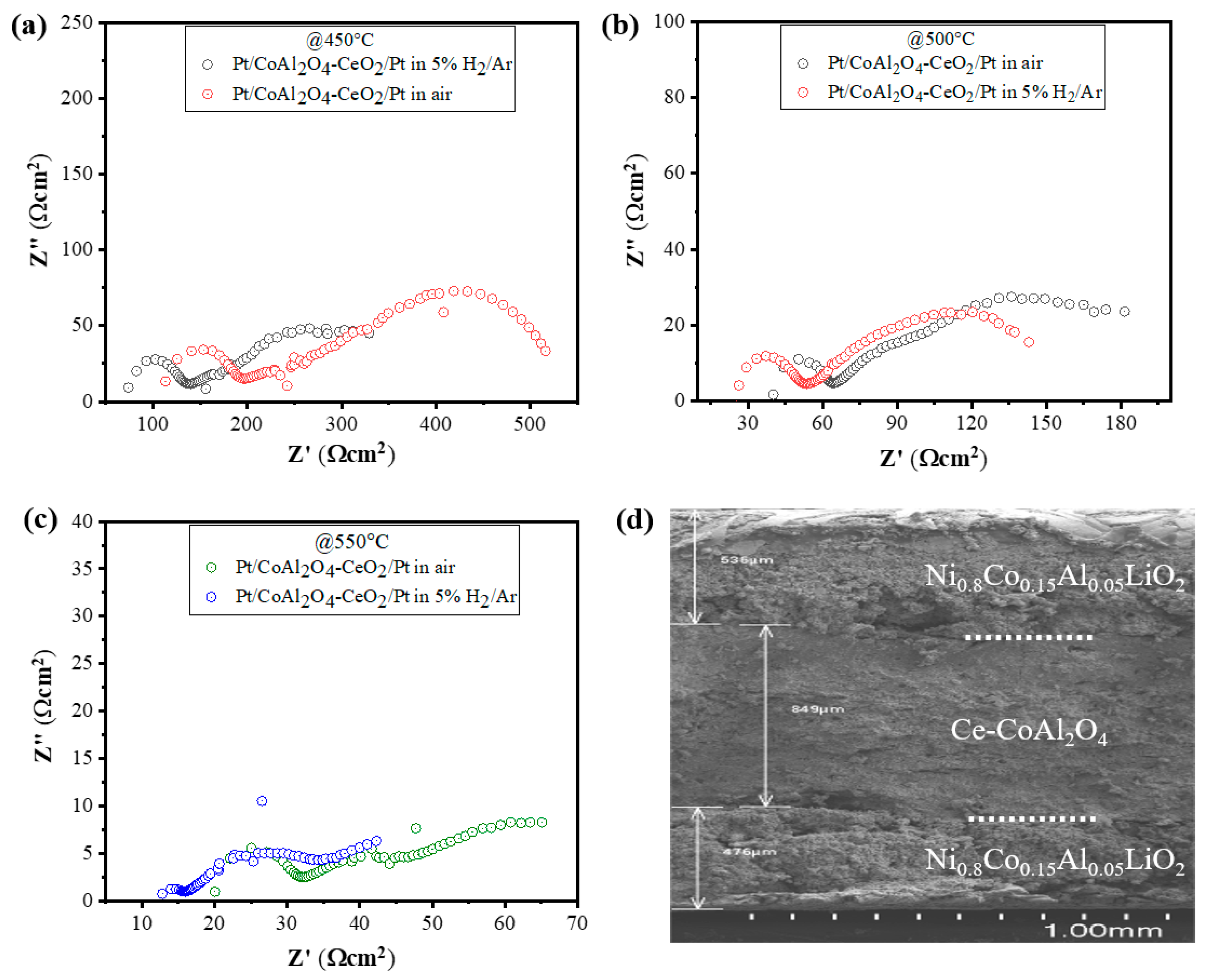 Crystals 13 00975 g006