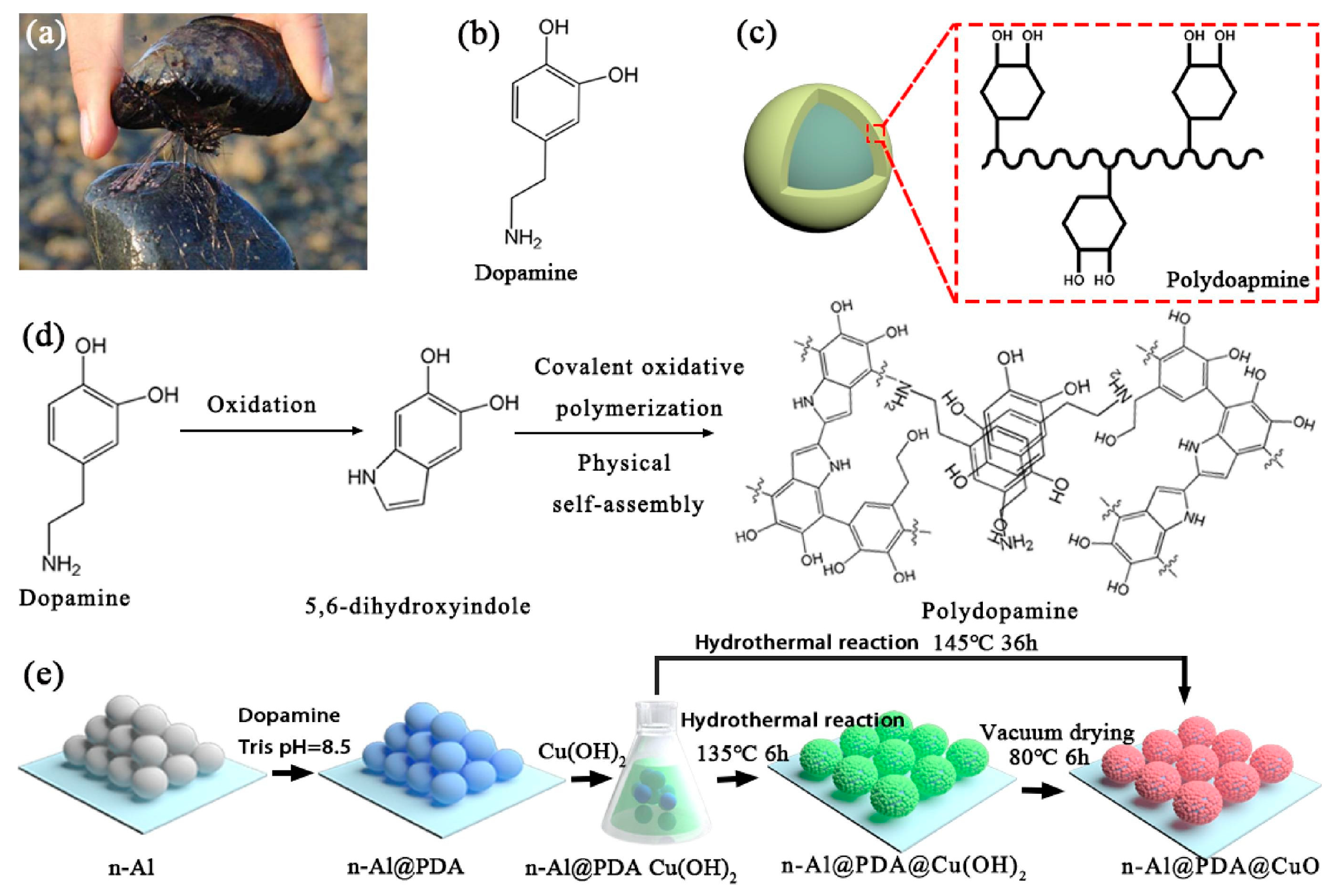 Crystals 13 00976 g003