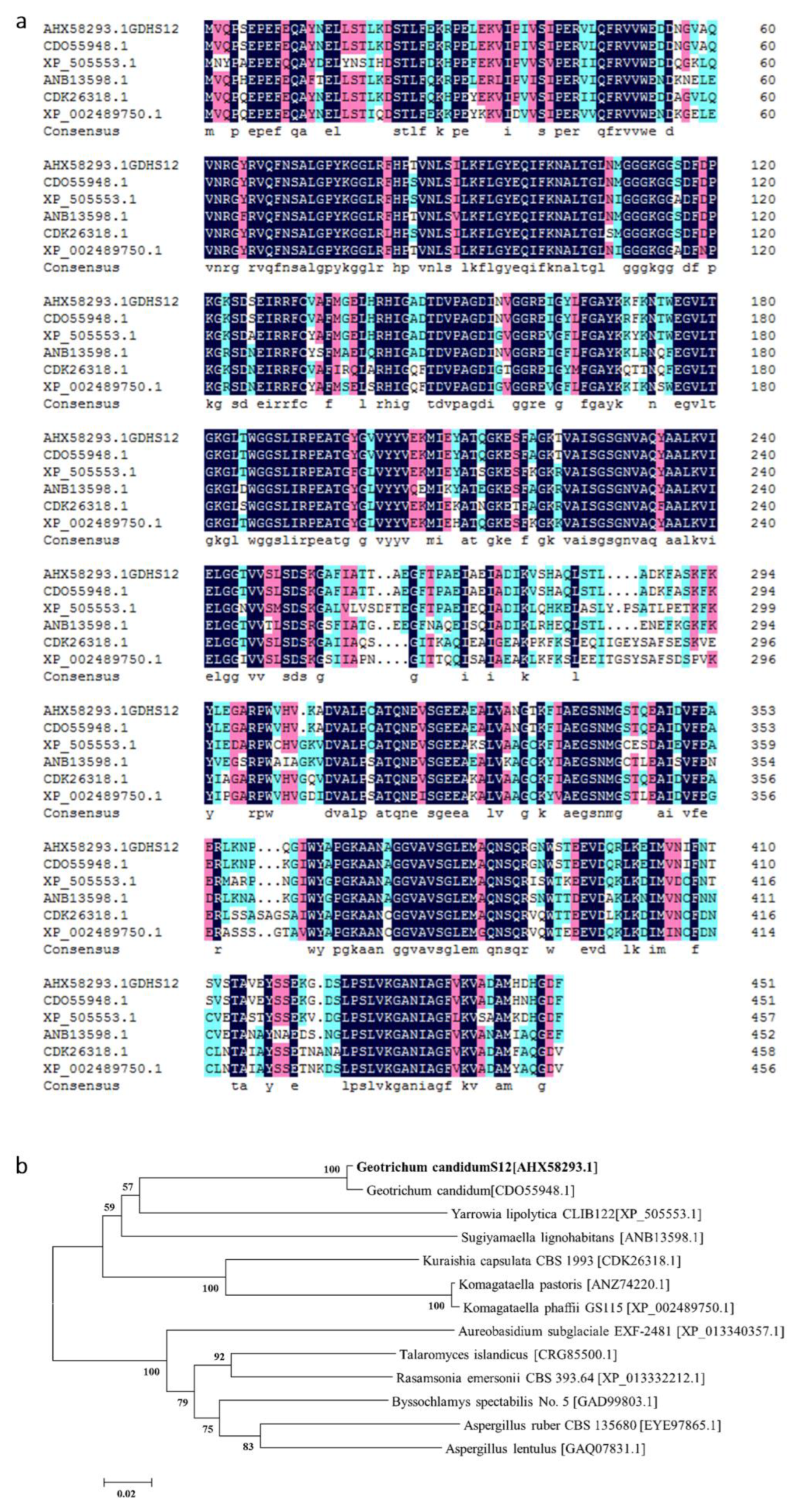 Crystals 13 00980 g001 Crystals 13 00980 g001