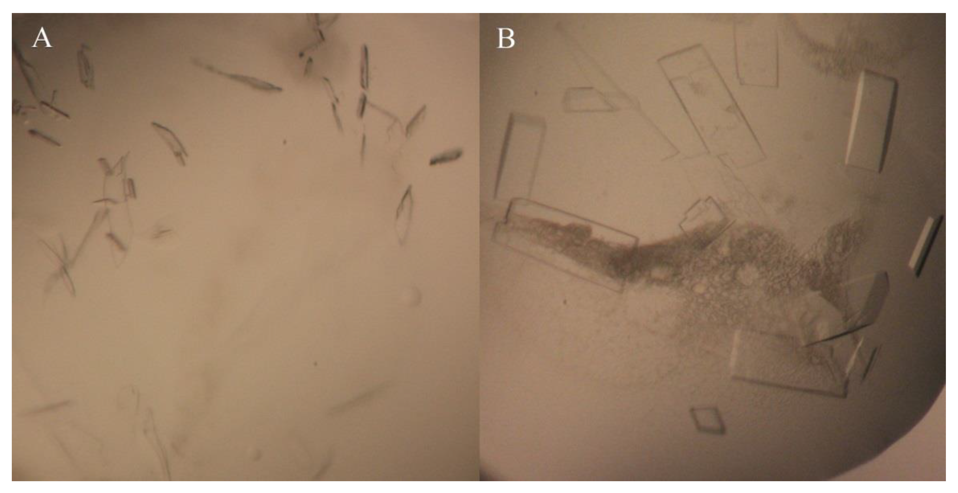 Crystals 13 00980 g003 Crystals 13 00980 g003