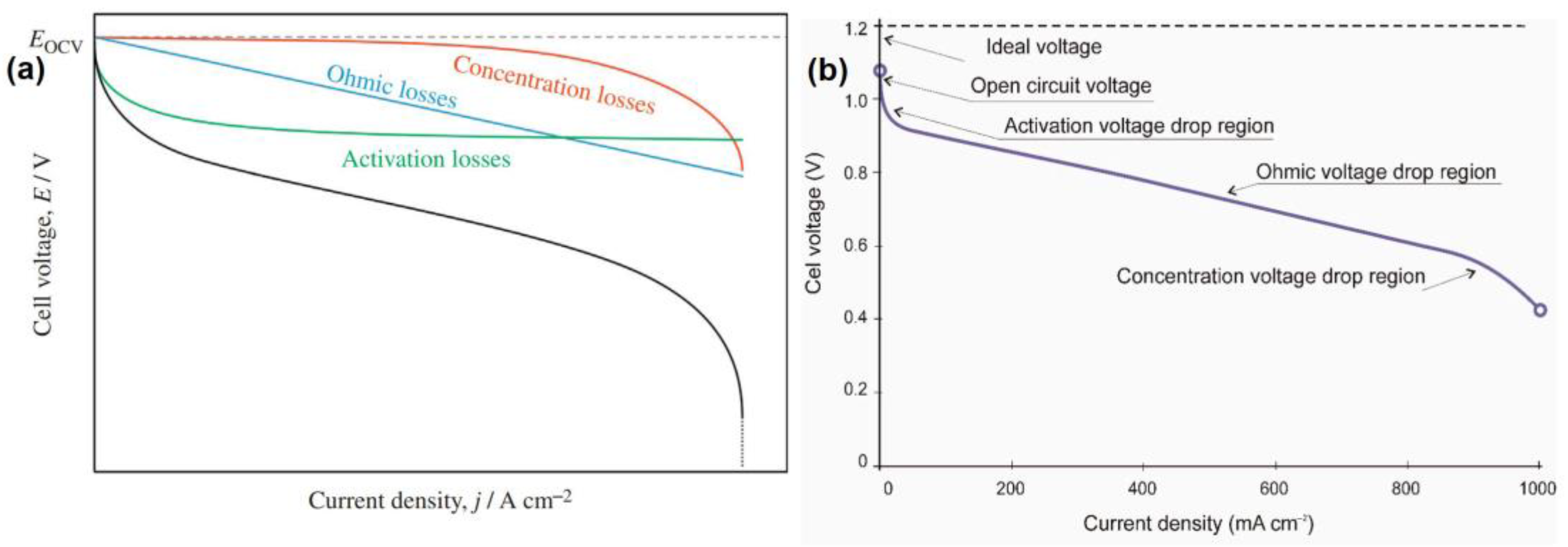 Crystals 13 01008 g004