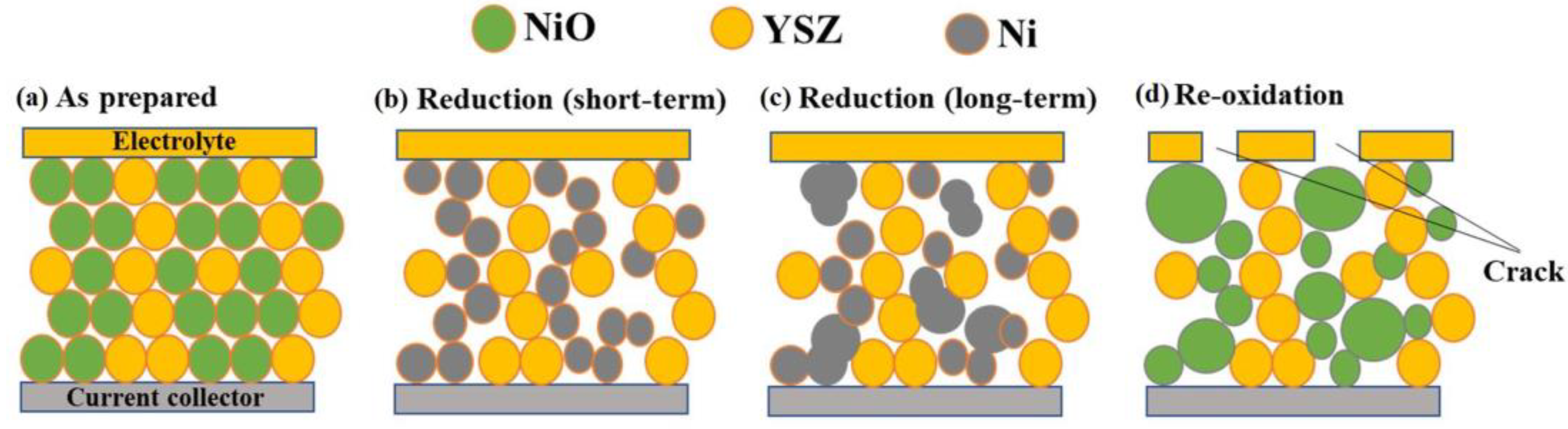 Crystals 13 01008 g006