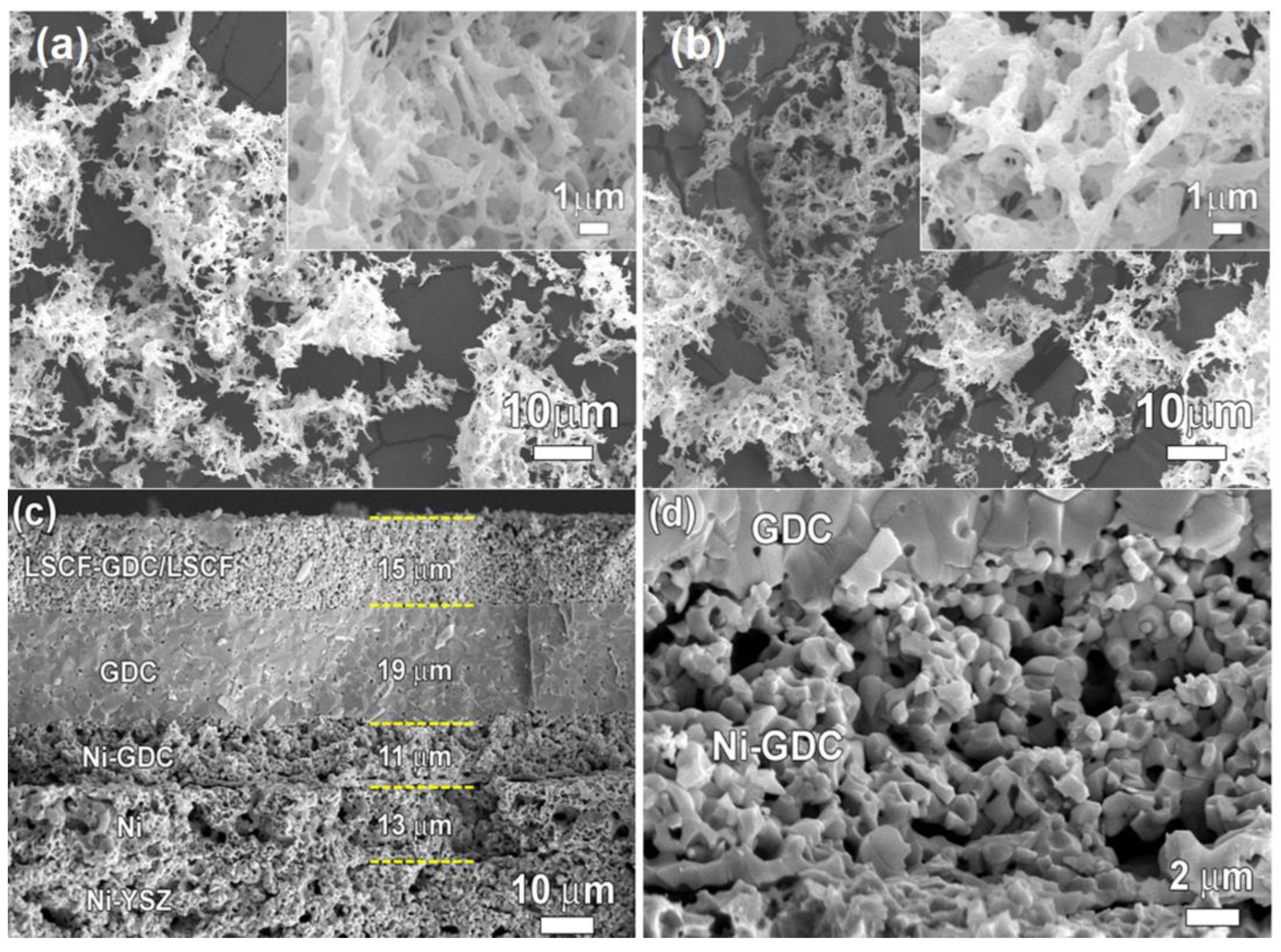 Crystals 13 01008 g015