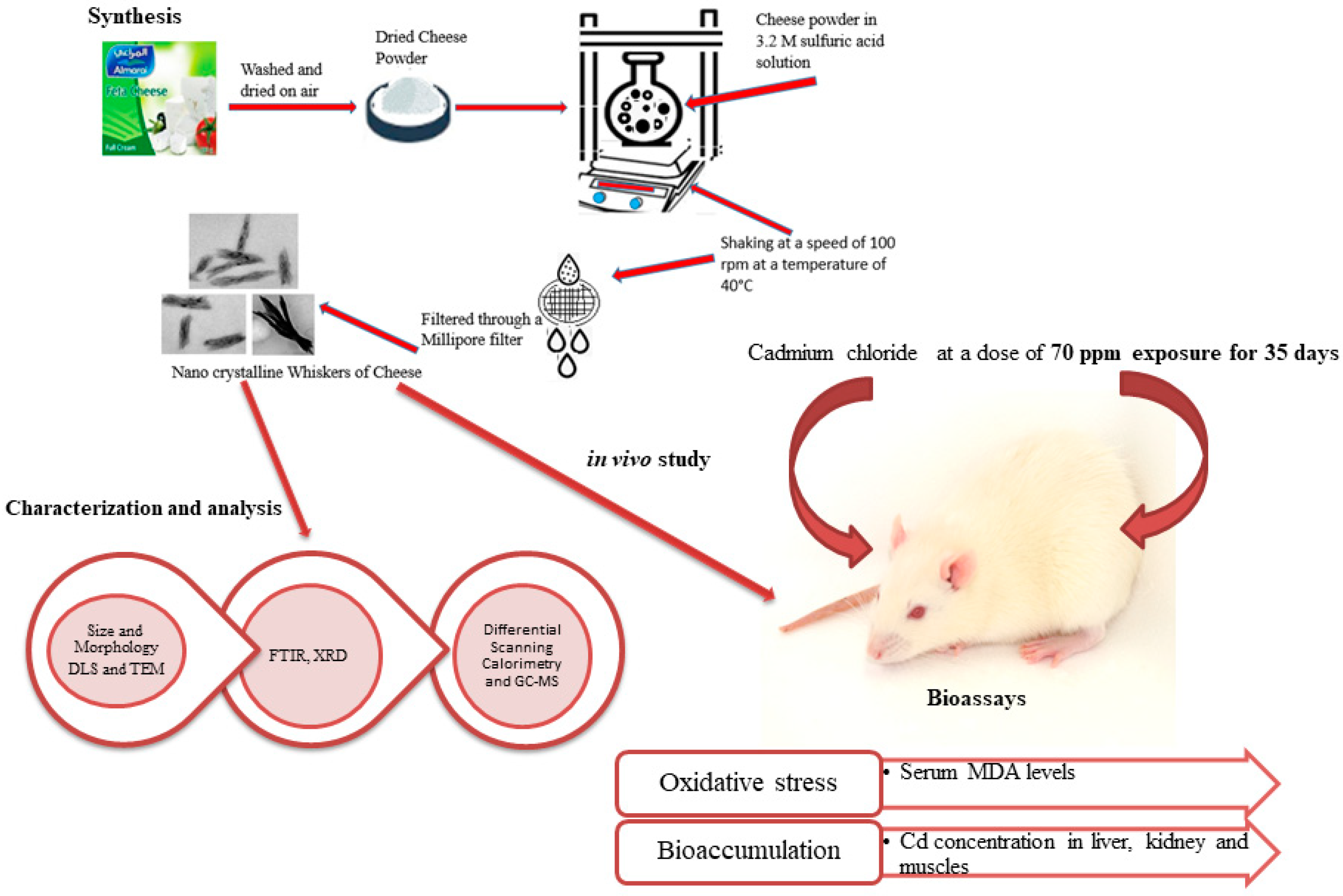 Crystals 13 01013 g001