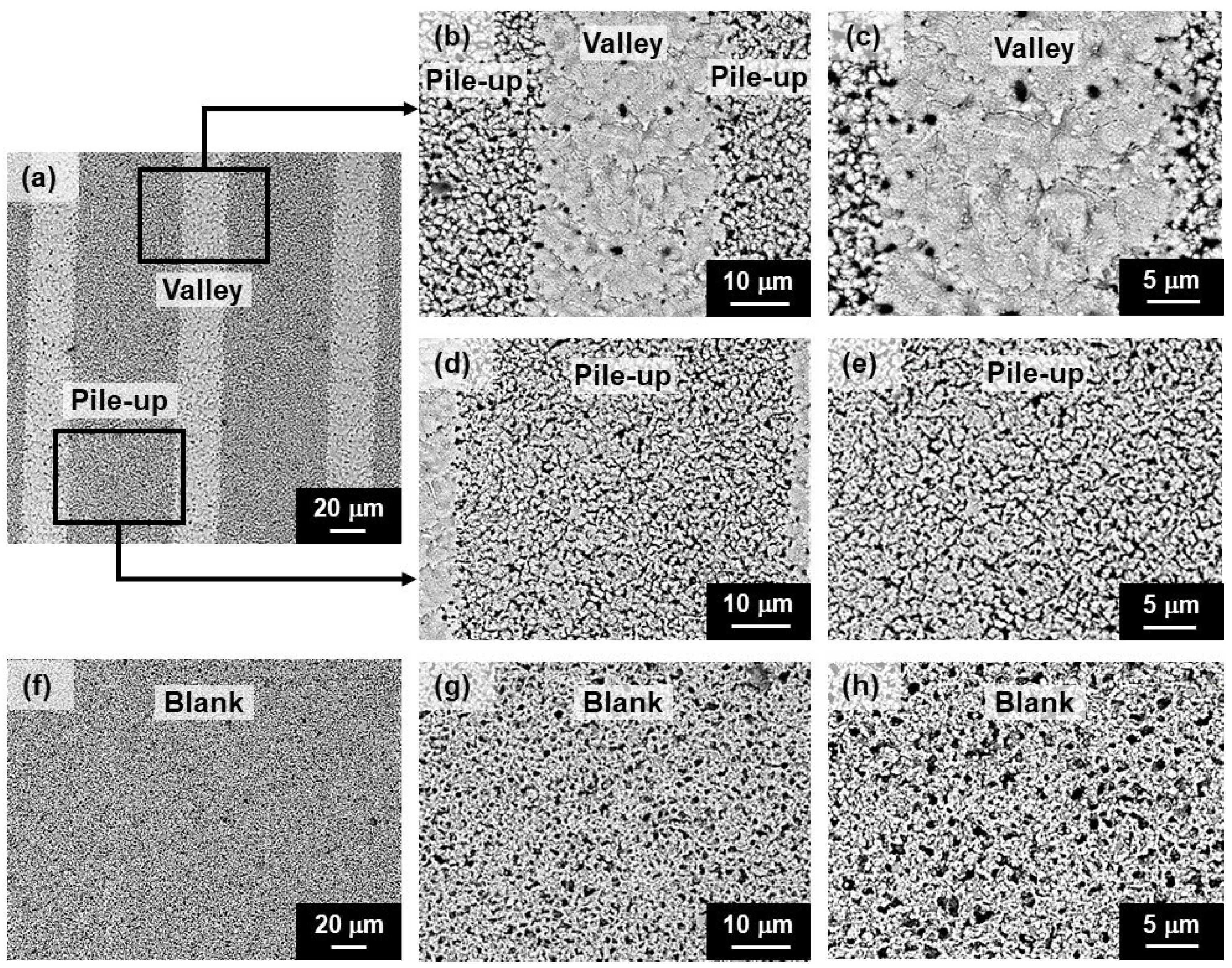 Crystals 13 01016 g005
