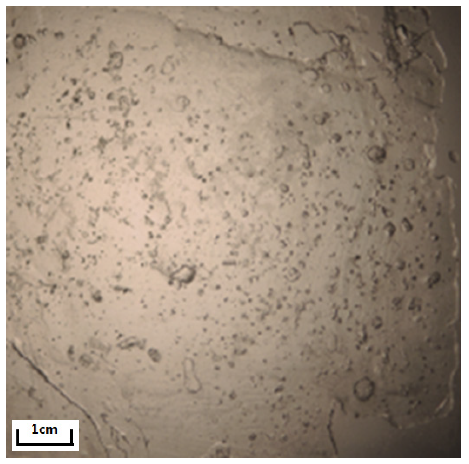 Crystals 13 01021 g006