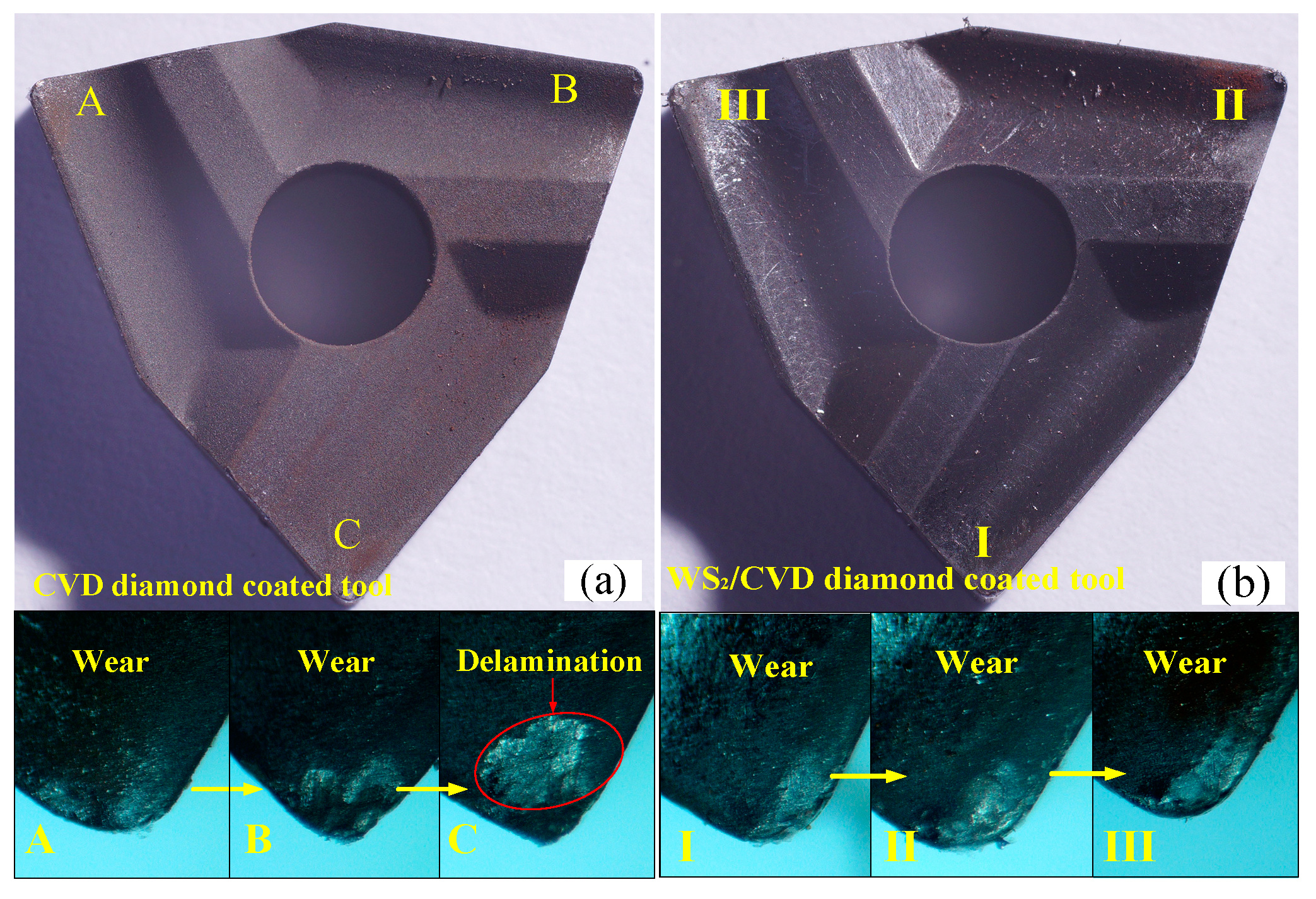 Crystals 13 01034 g006