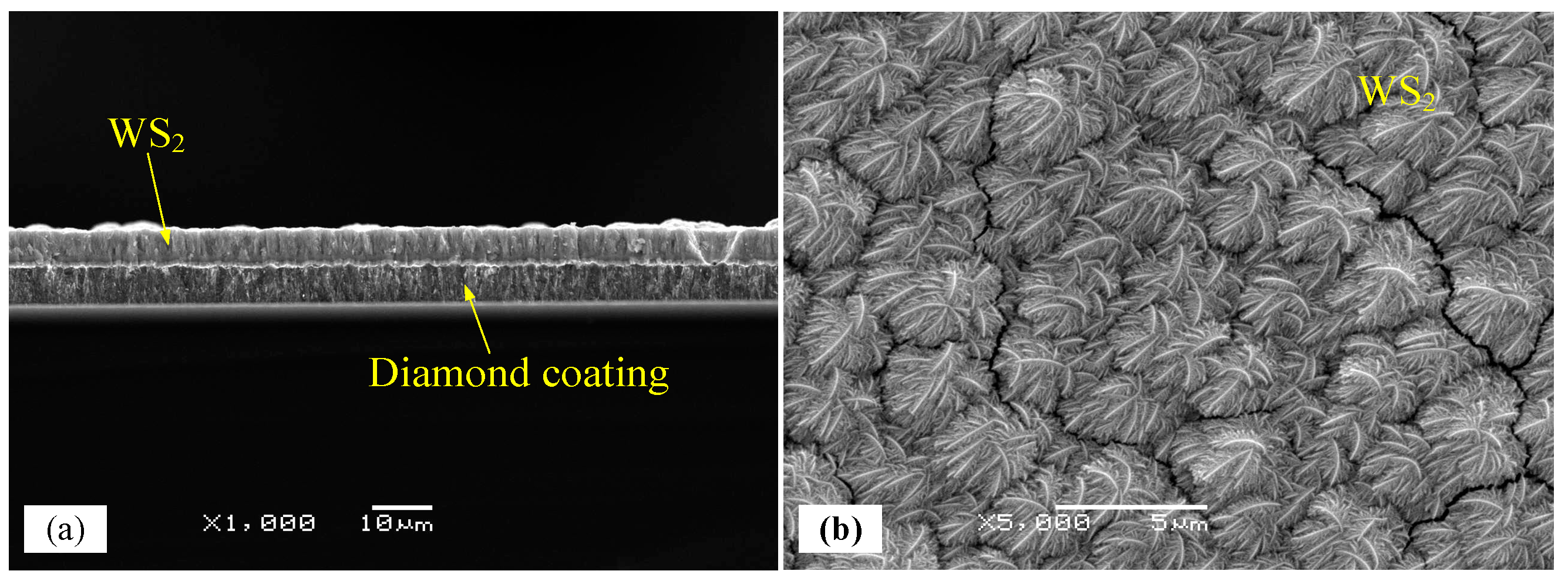 Crystals 13 01034 g014